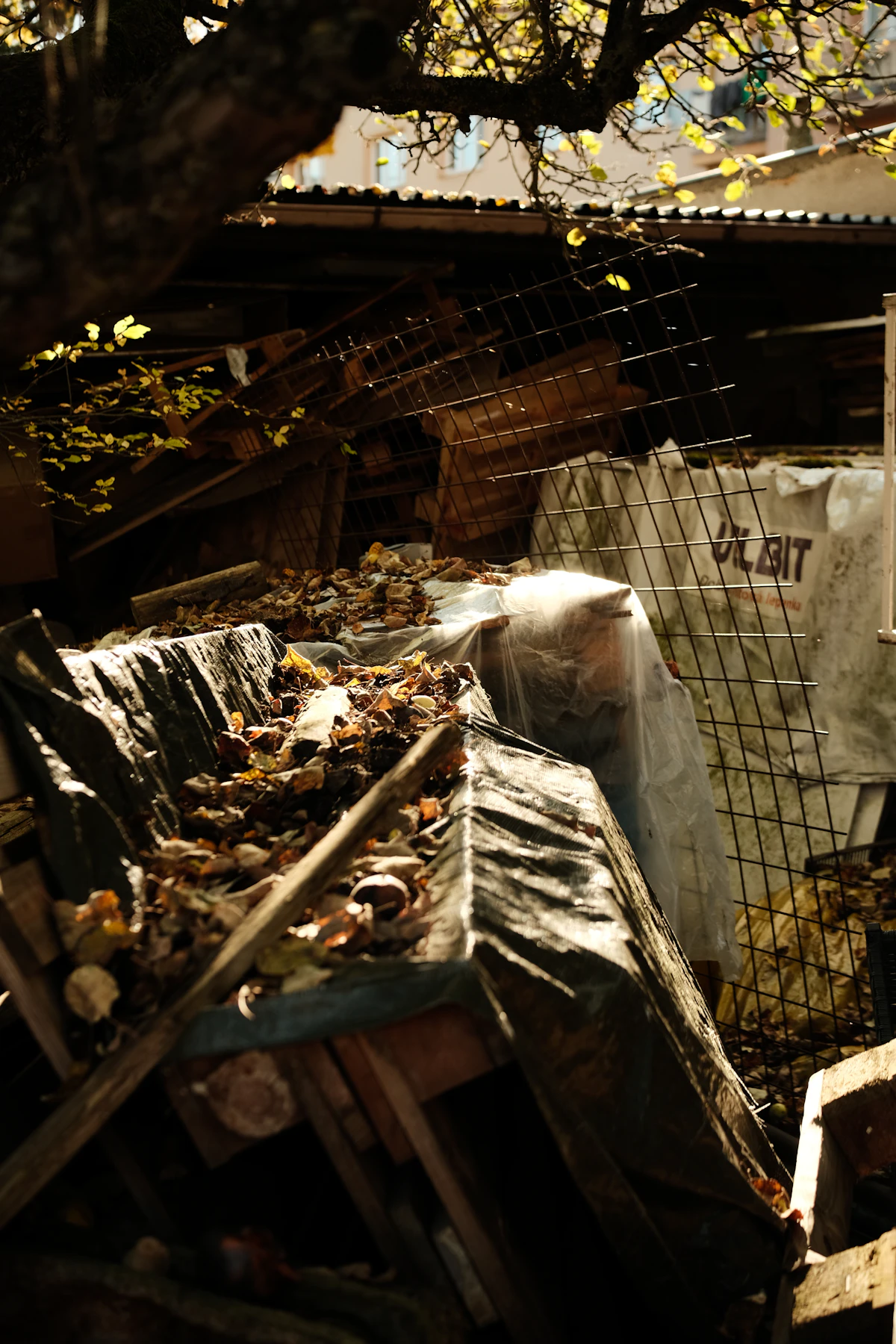 Brush & Debris Hauling