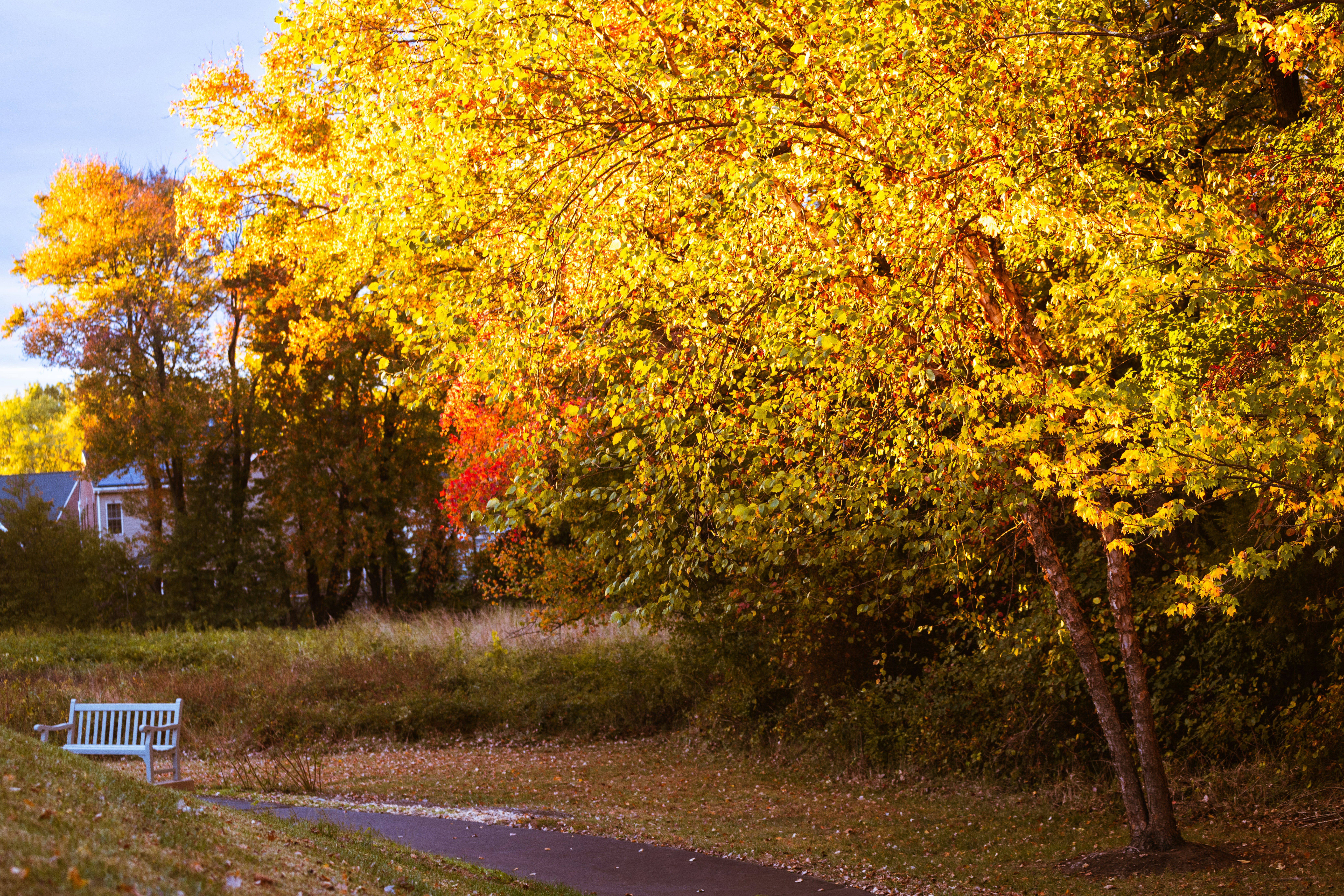 Photo by sriniunsplash