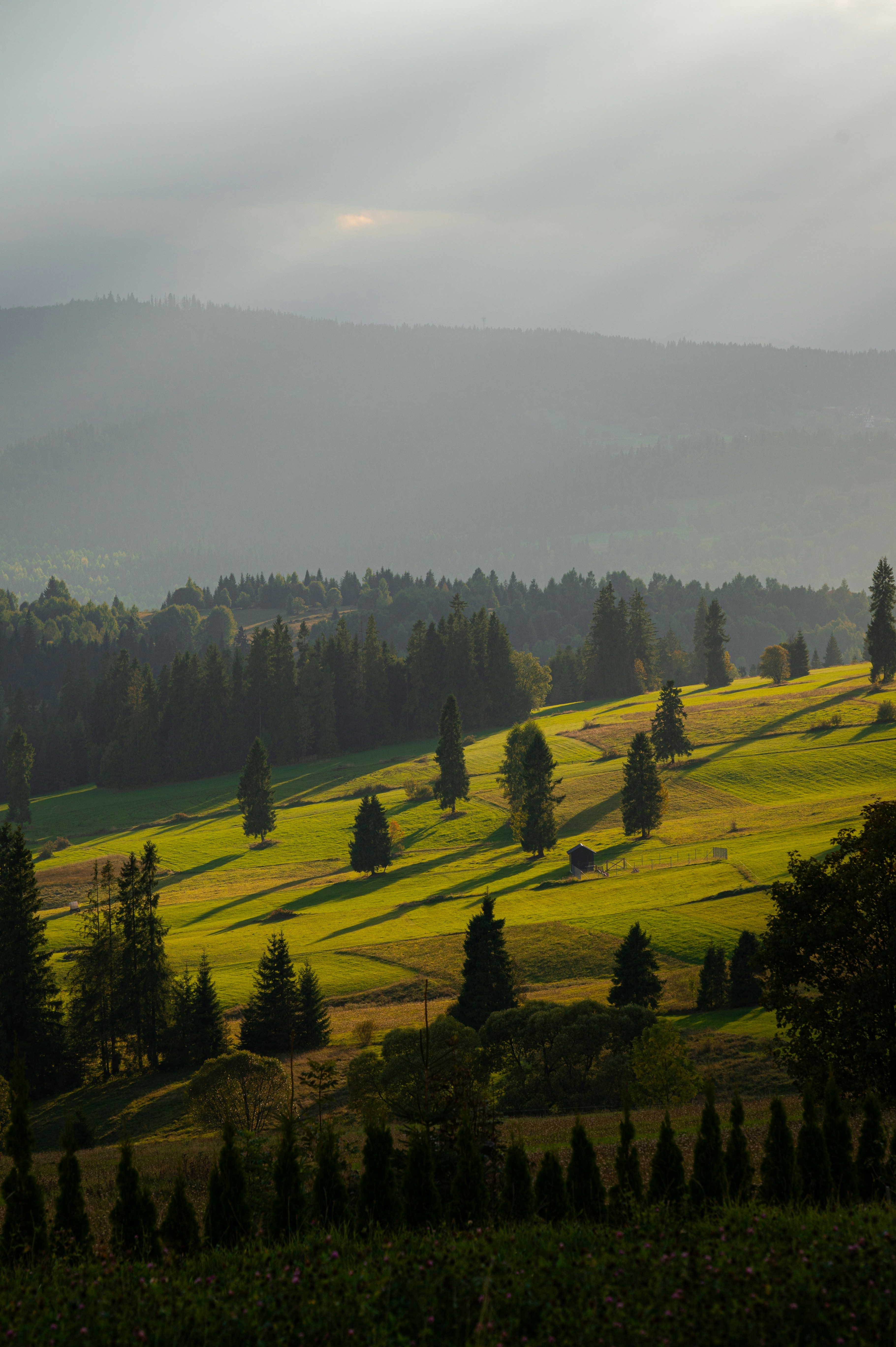 Photo by alexandra_p_d