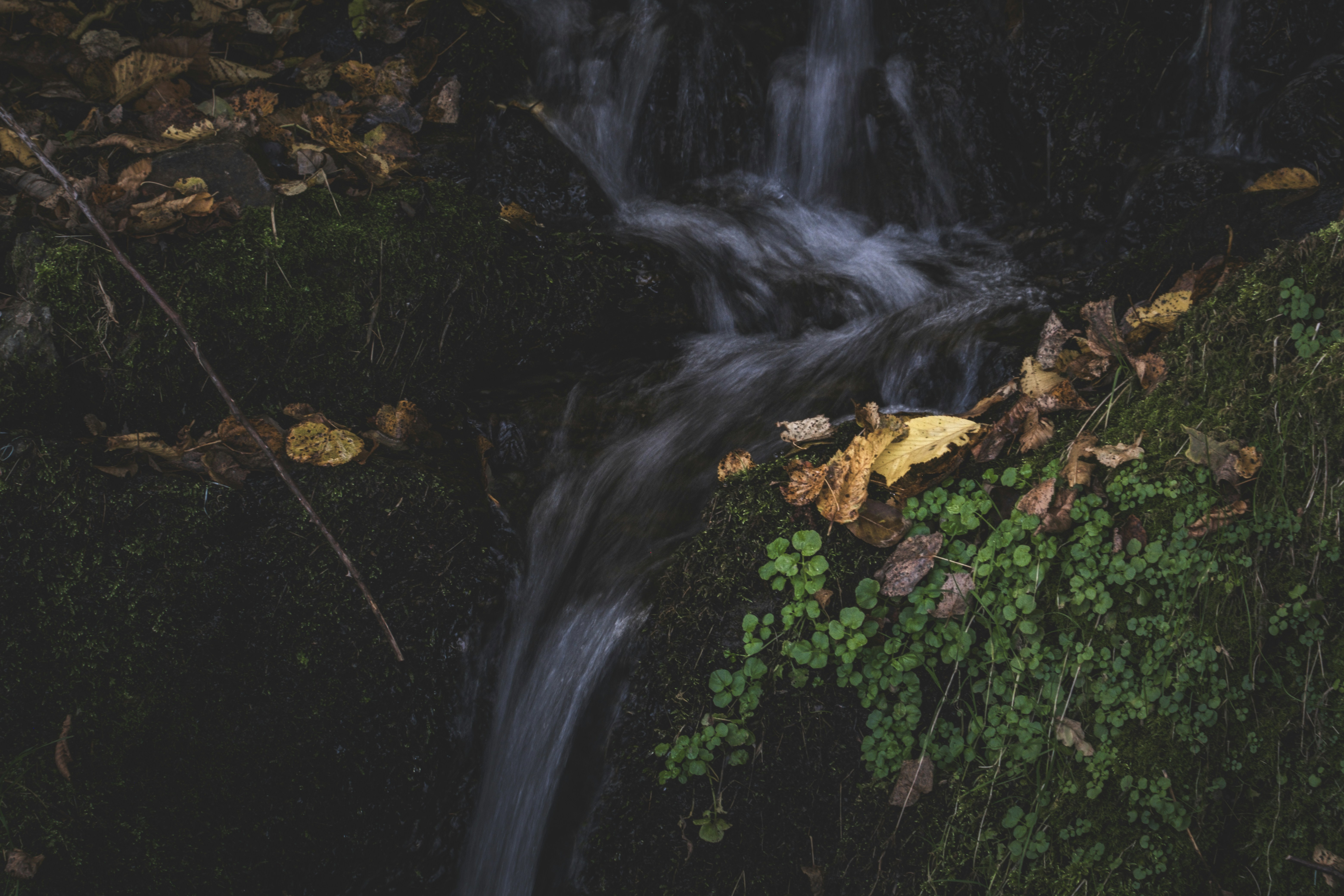 Photo by francesco_ungaro