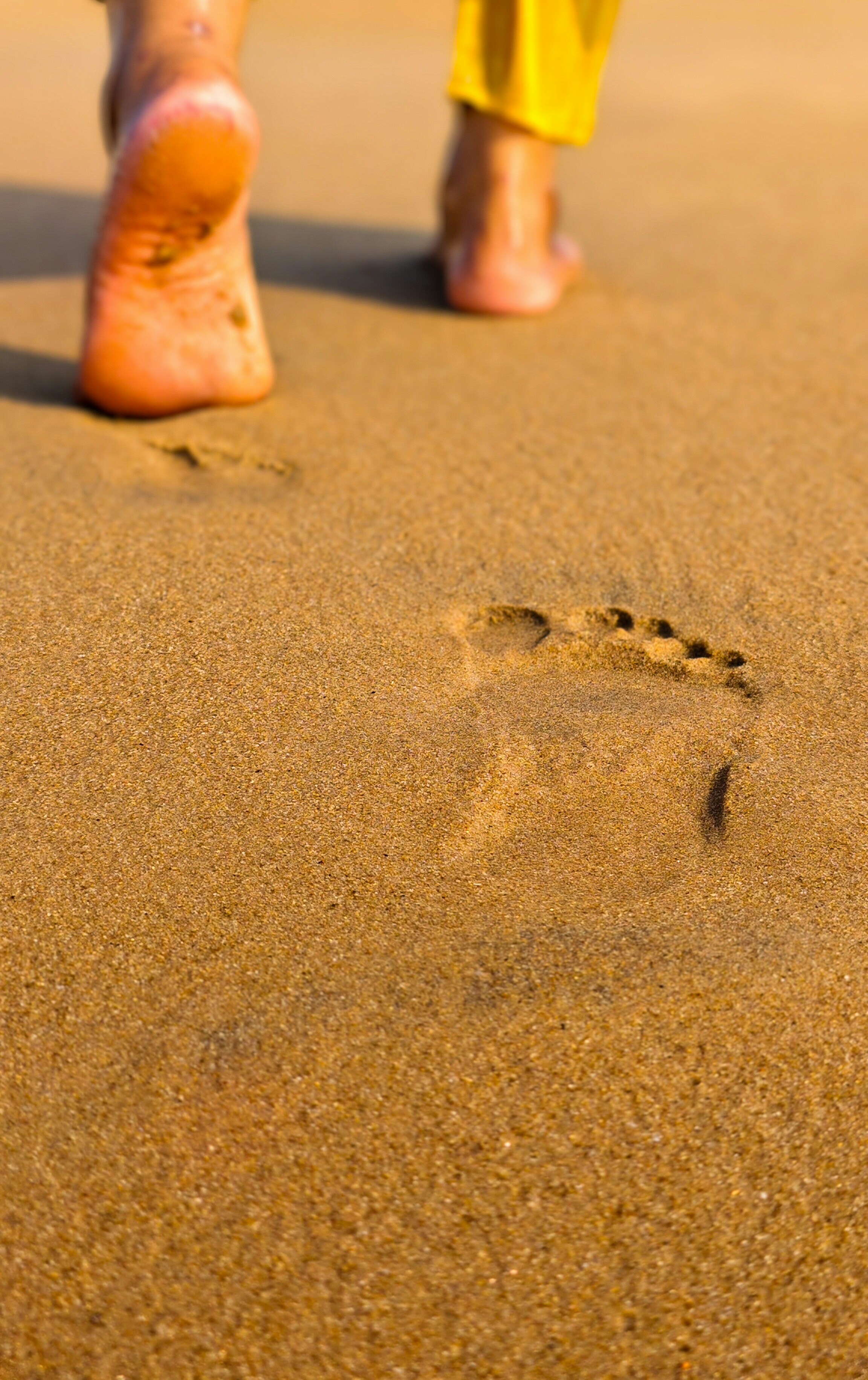 Footprints on a sandy beach leading away