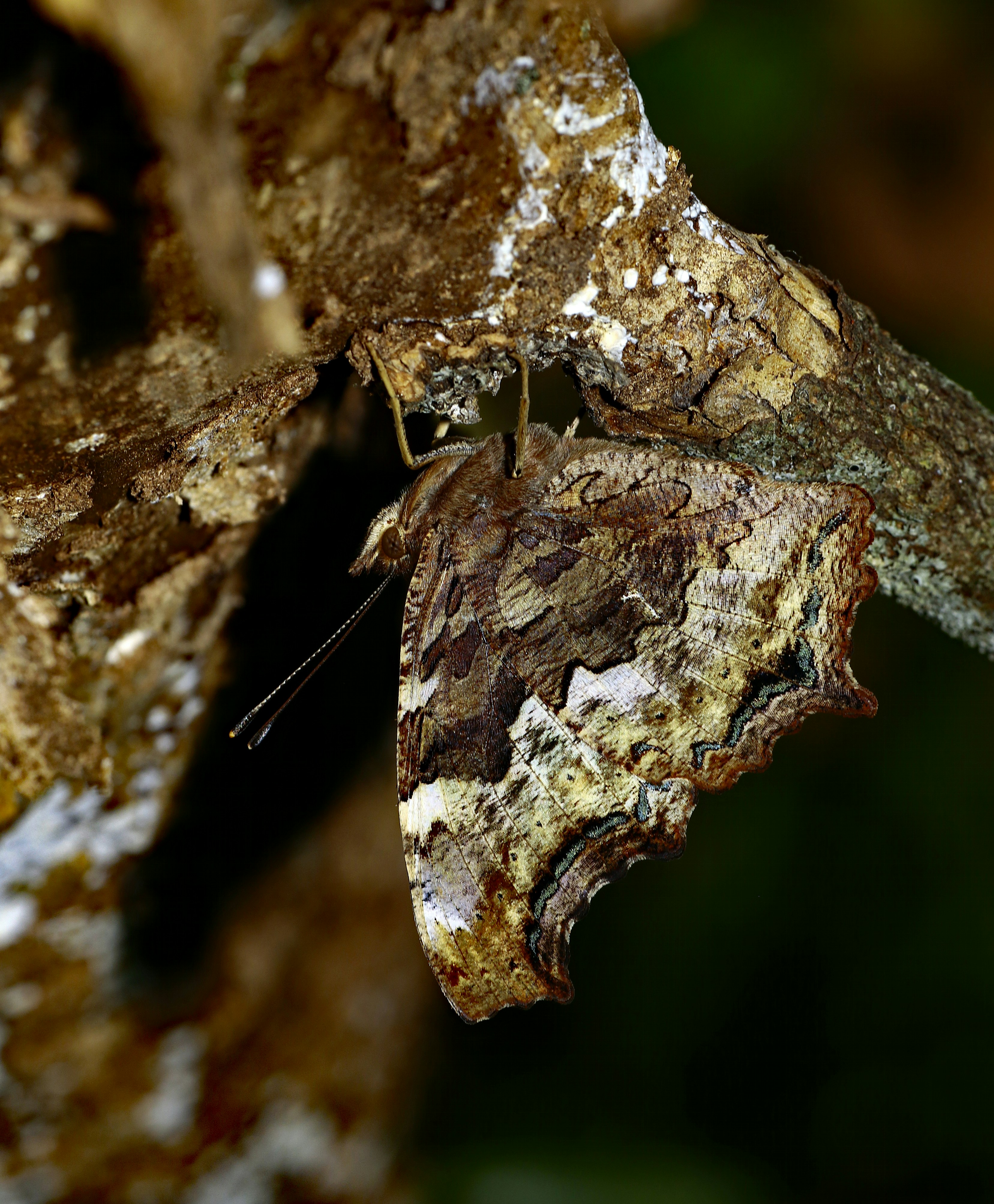 Photo by telliottmbamsc