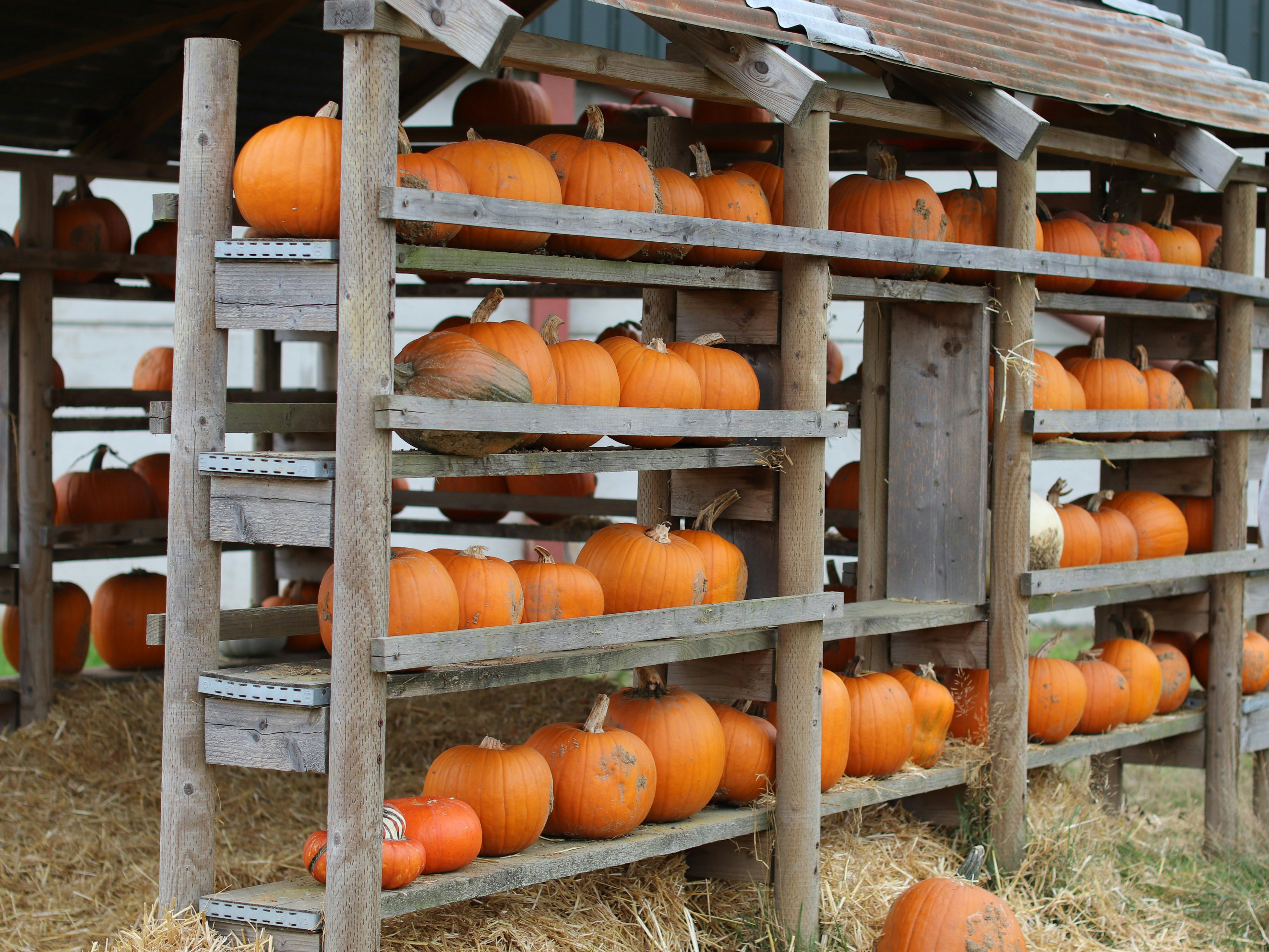 Photo by tanyabarrow