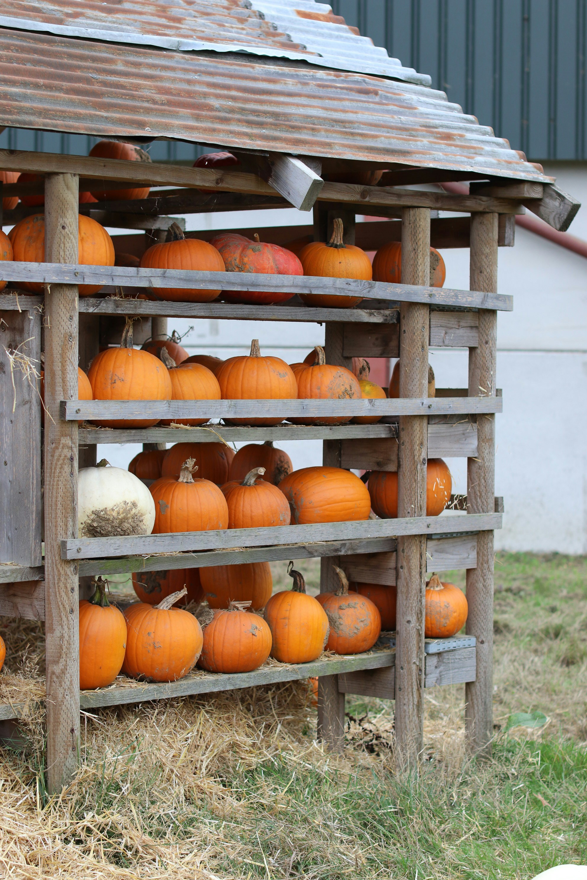 Photo by tanyabarrow