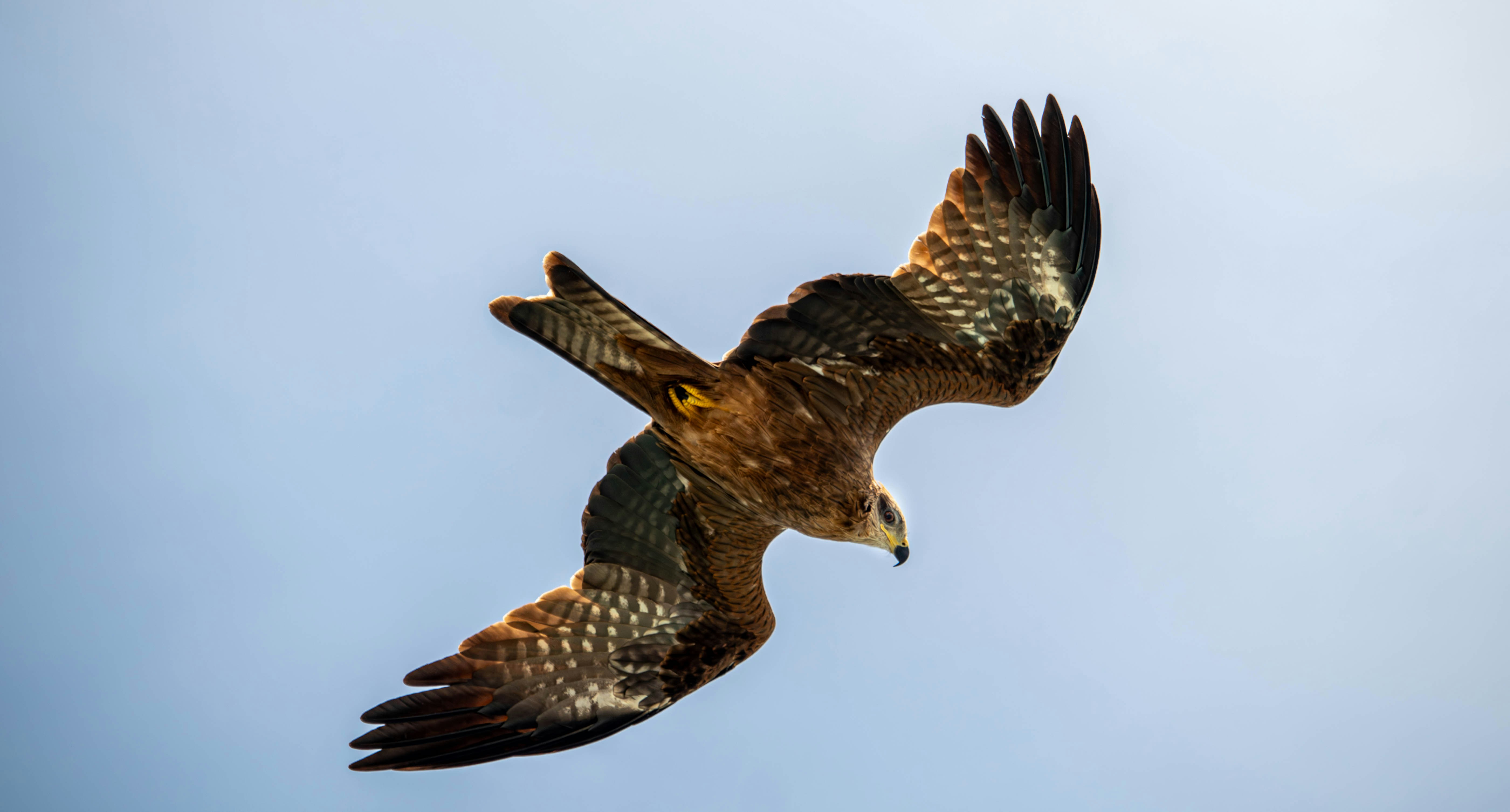 Photo by jpninanjohn