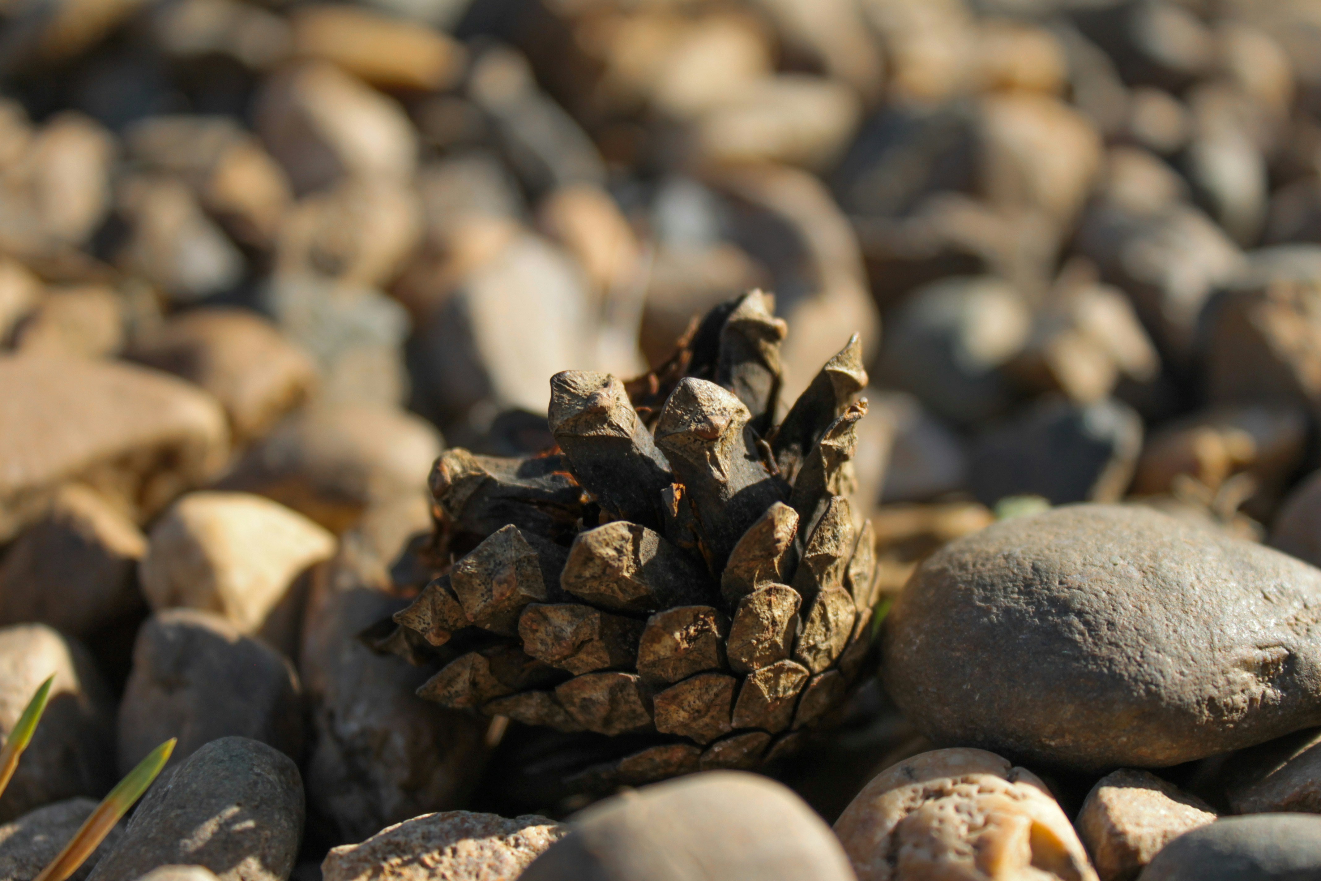 Photo by vvehkalahti