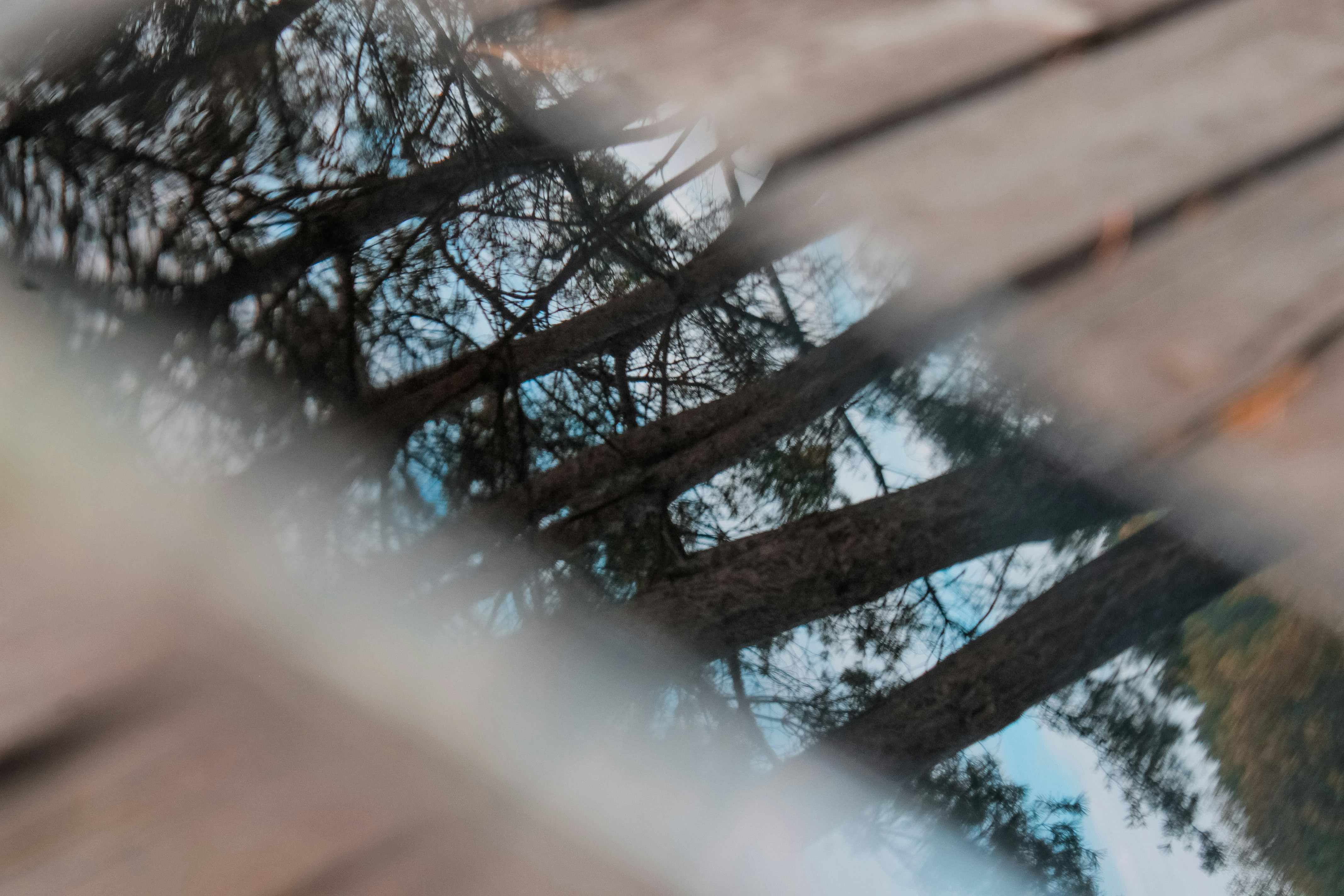 Photo by vvehkalahti