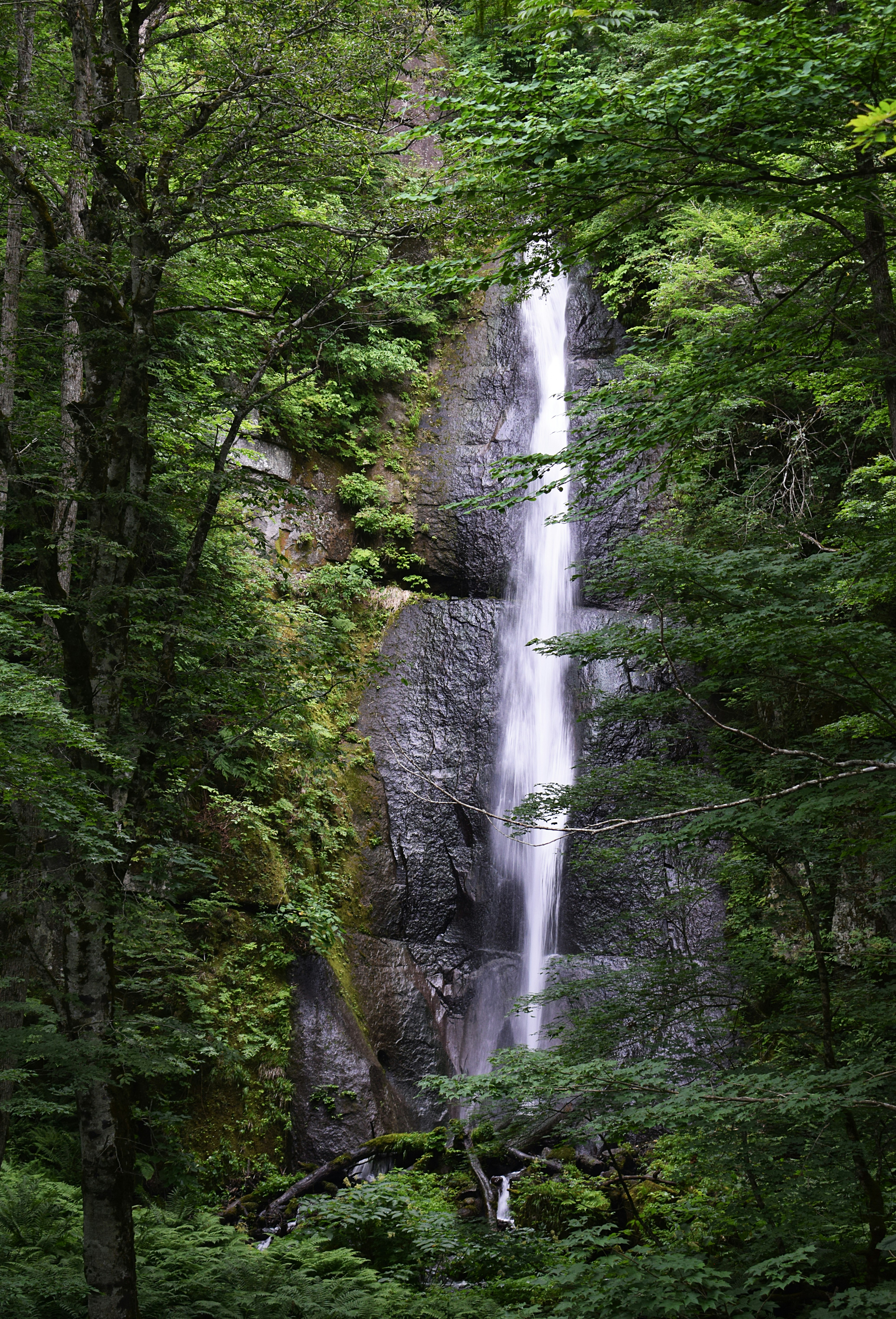Waterfall cascading down a rocky cliff face surrounded by trees.