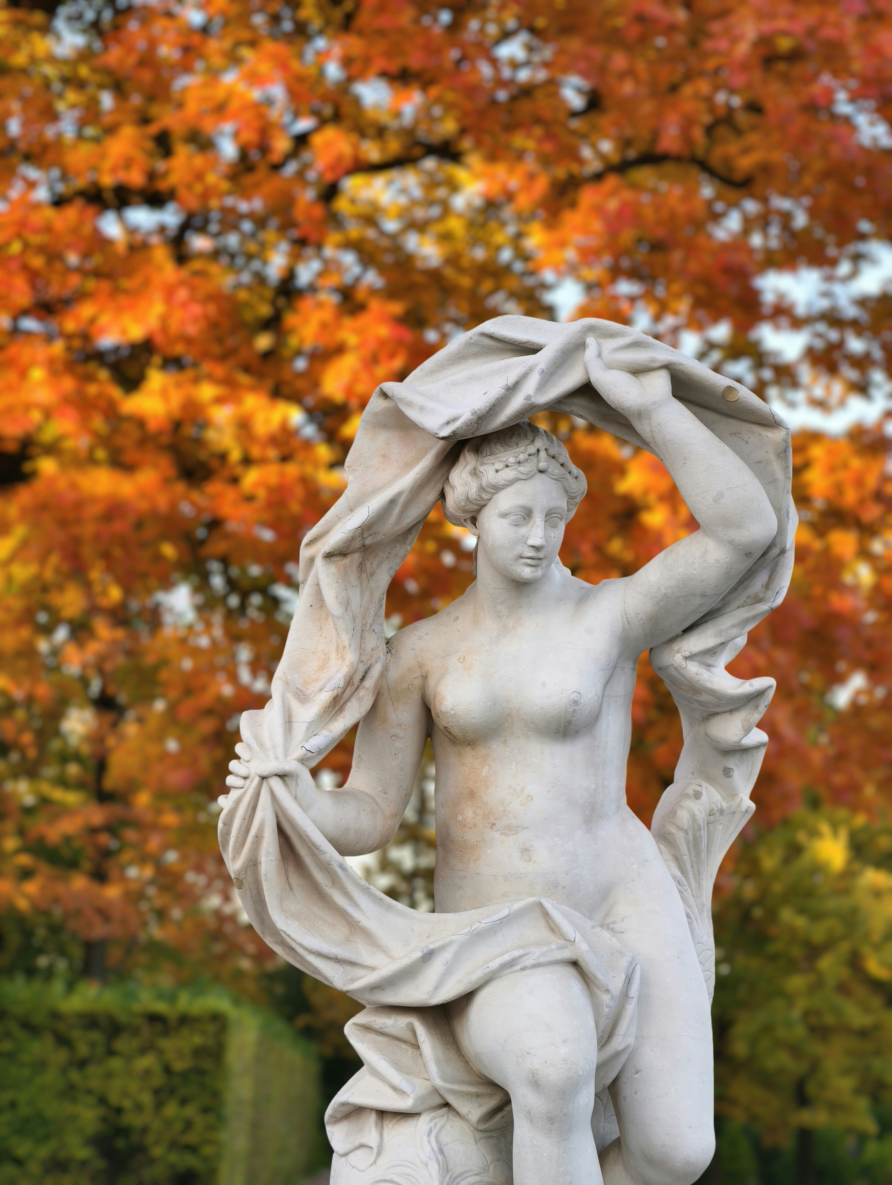 Photo by ann_integra