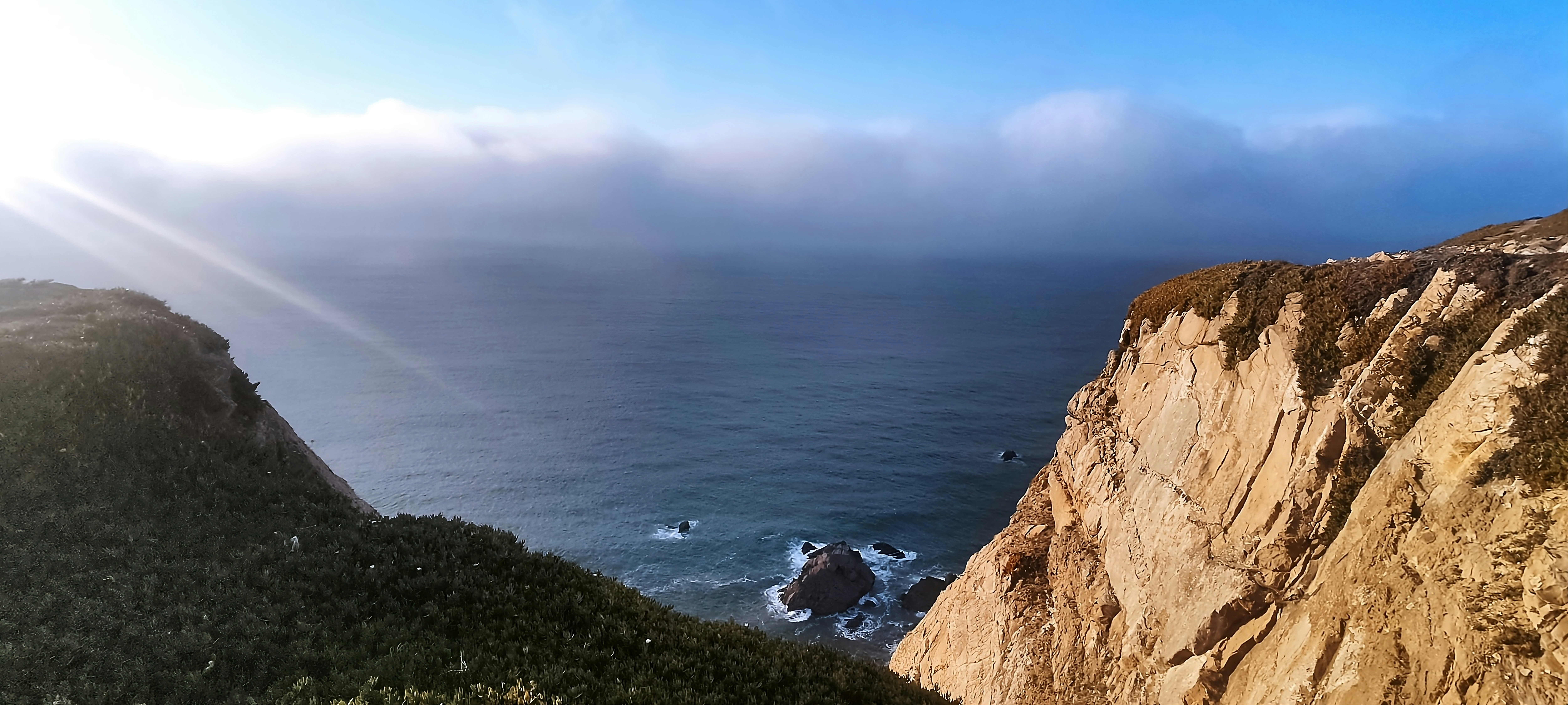 Photo by zlato_vlaska9678