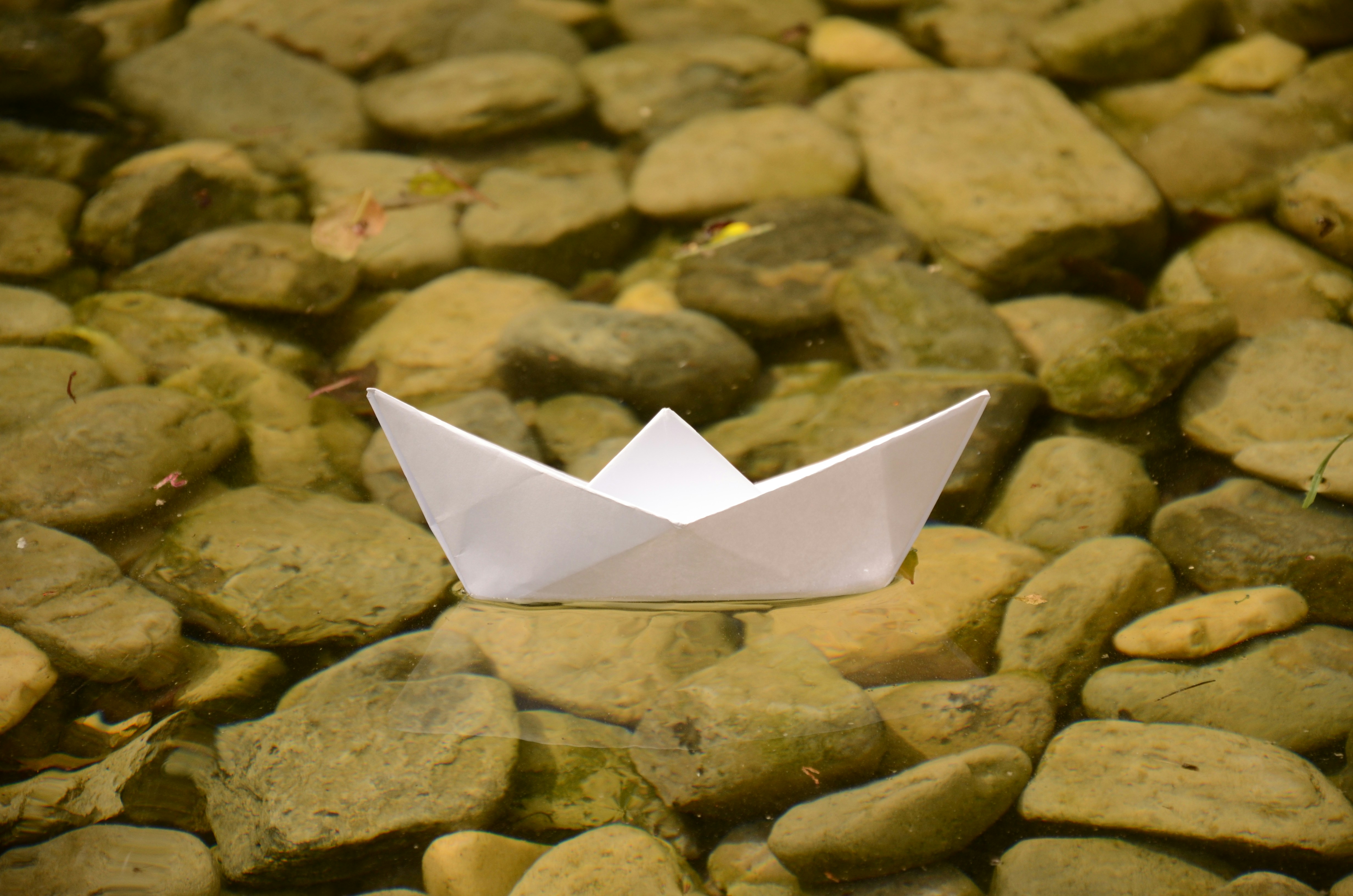 Photo by utku_kaplan