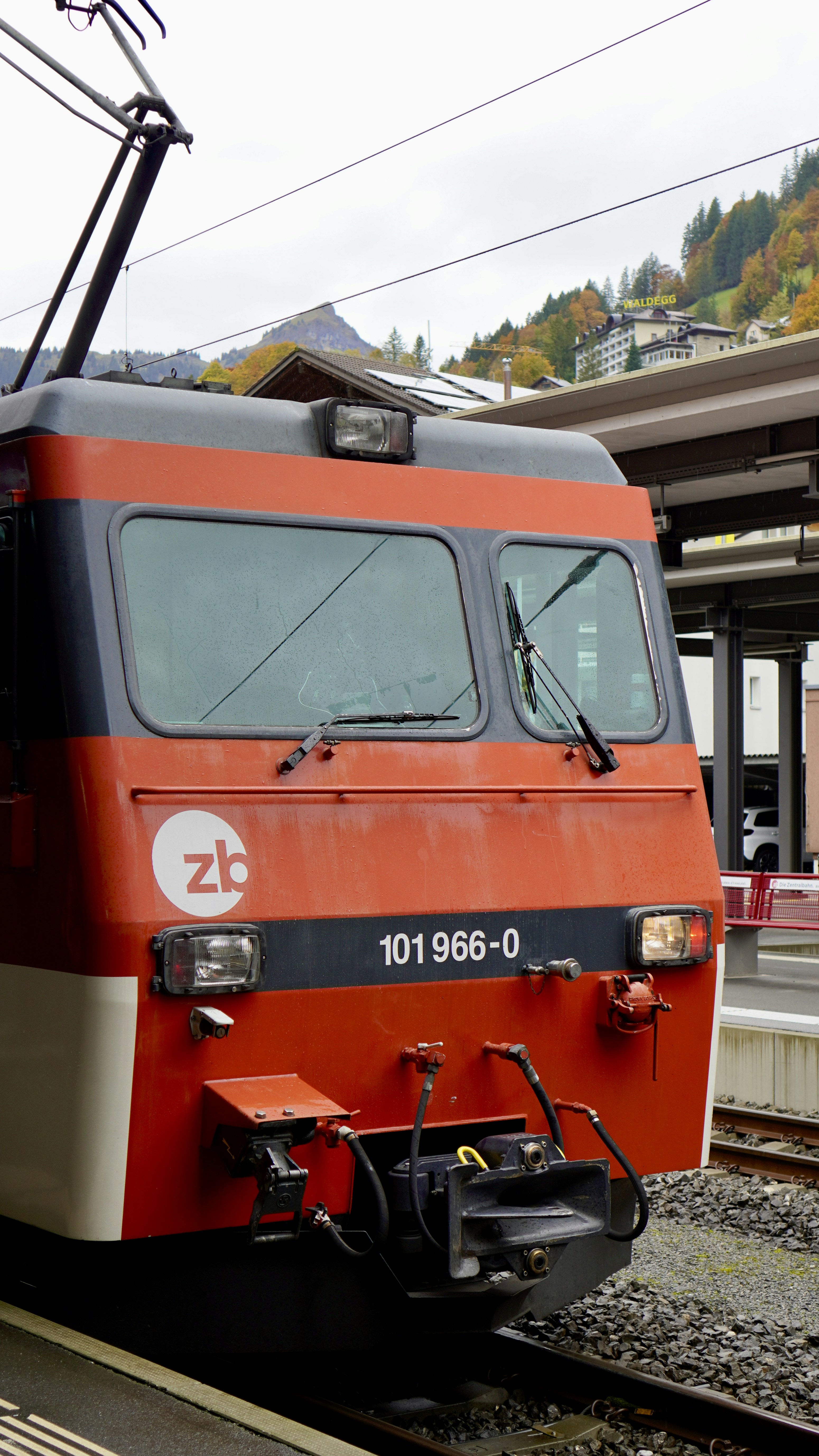 Red and black train at a station with mountains behind.