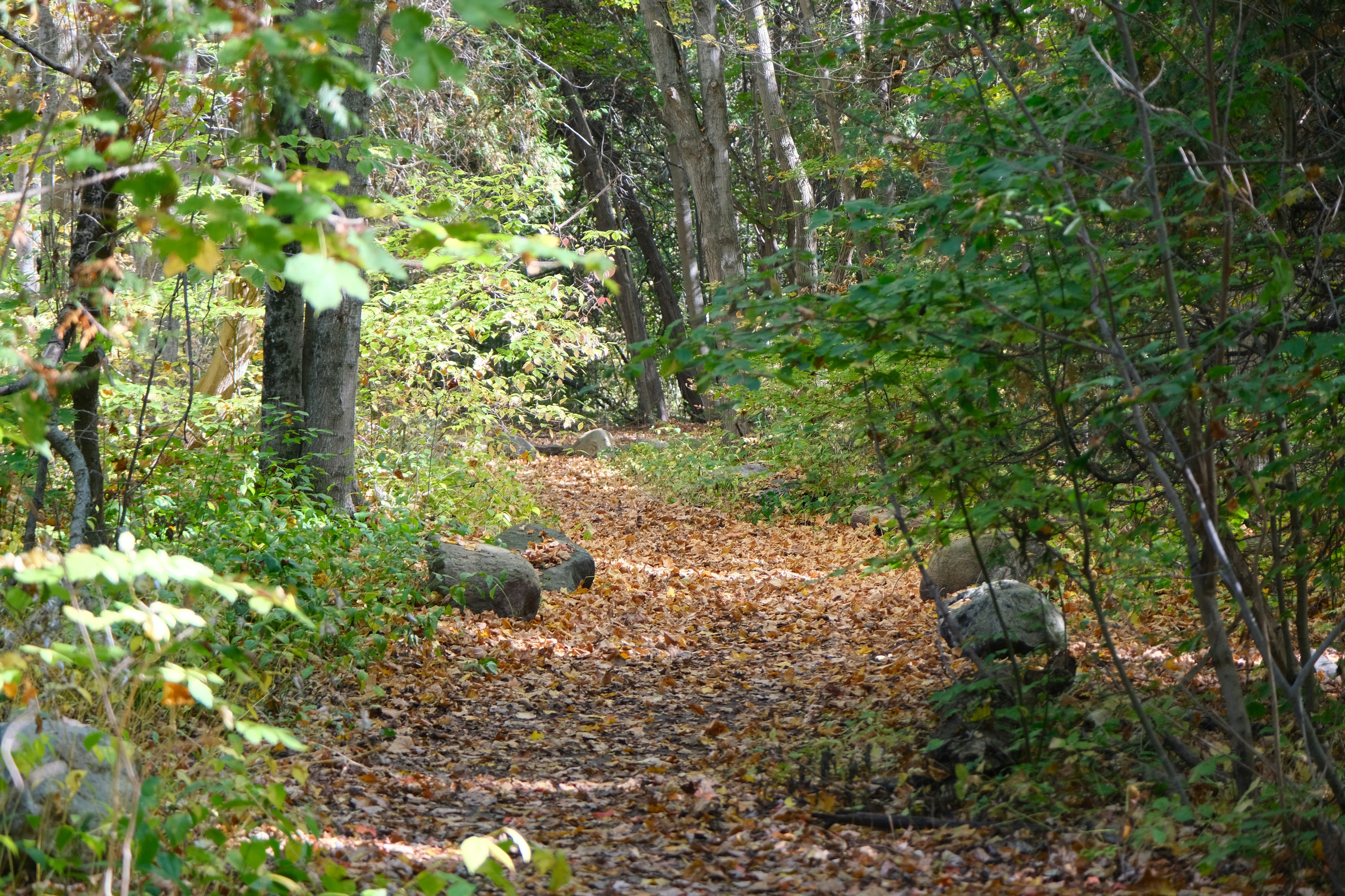 Military Trail Park