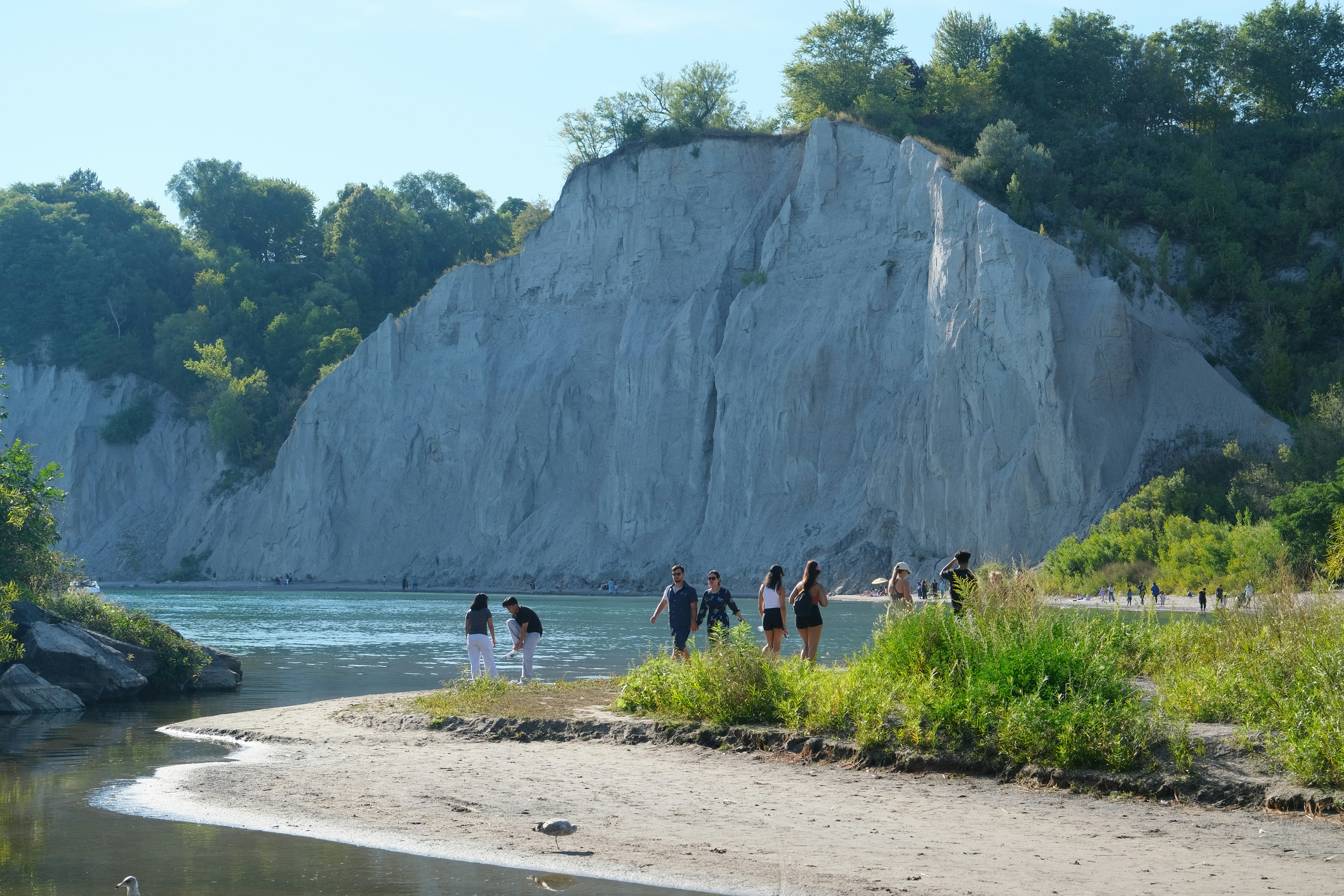 Sandy Bluff Dog Park