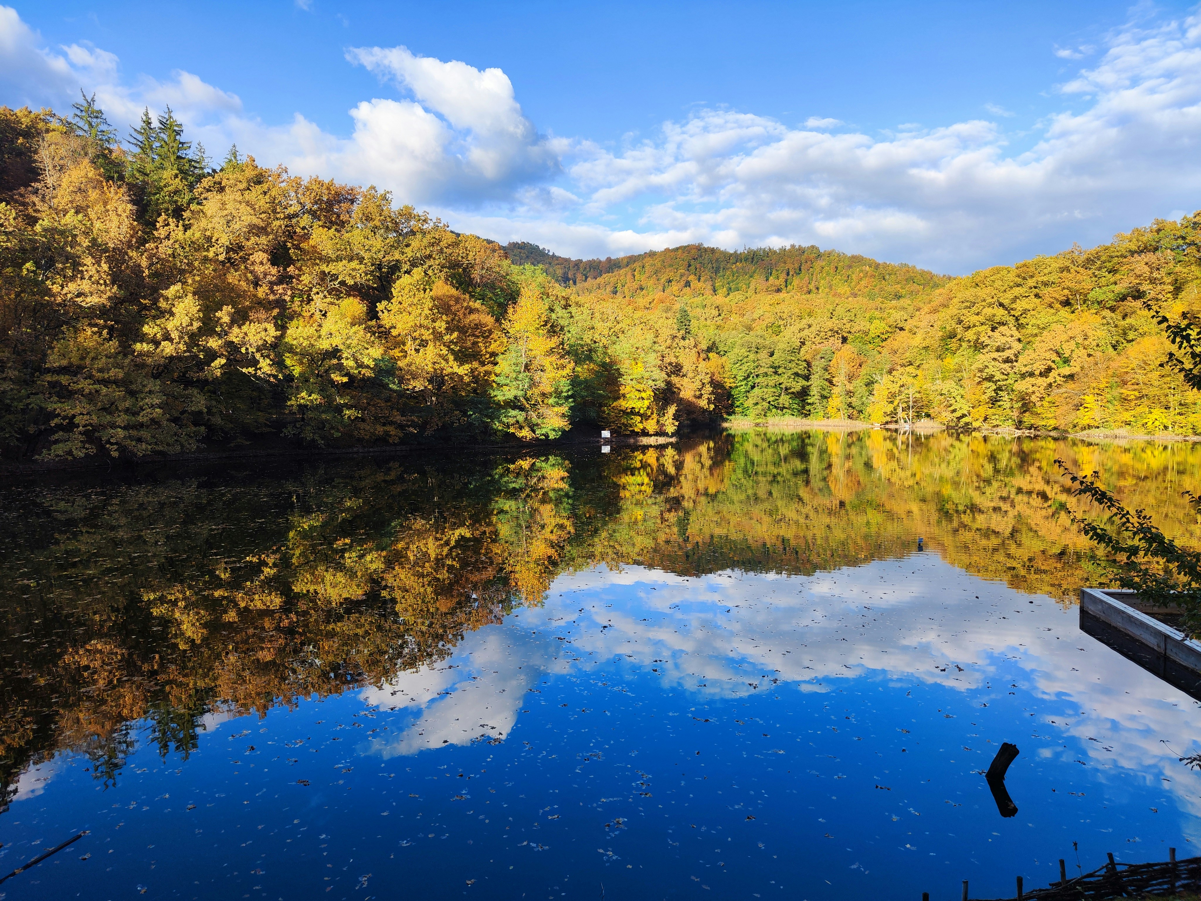 Photo by stefansworld