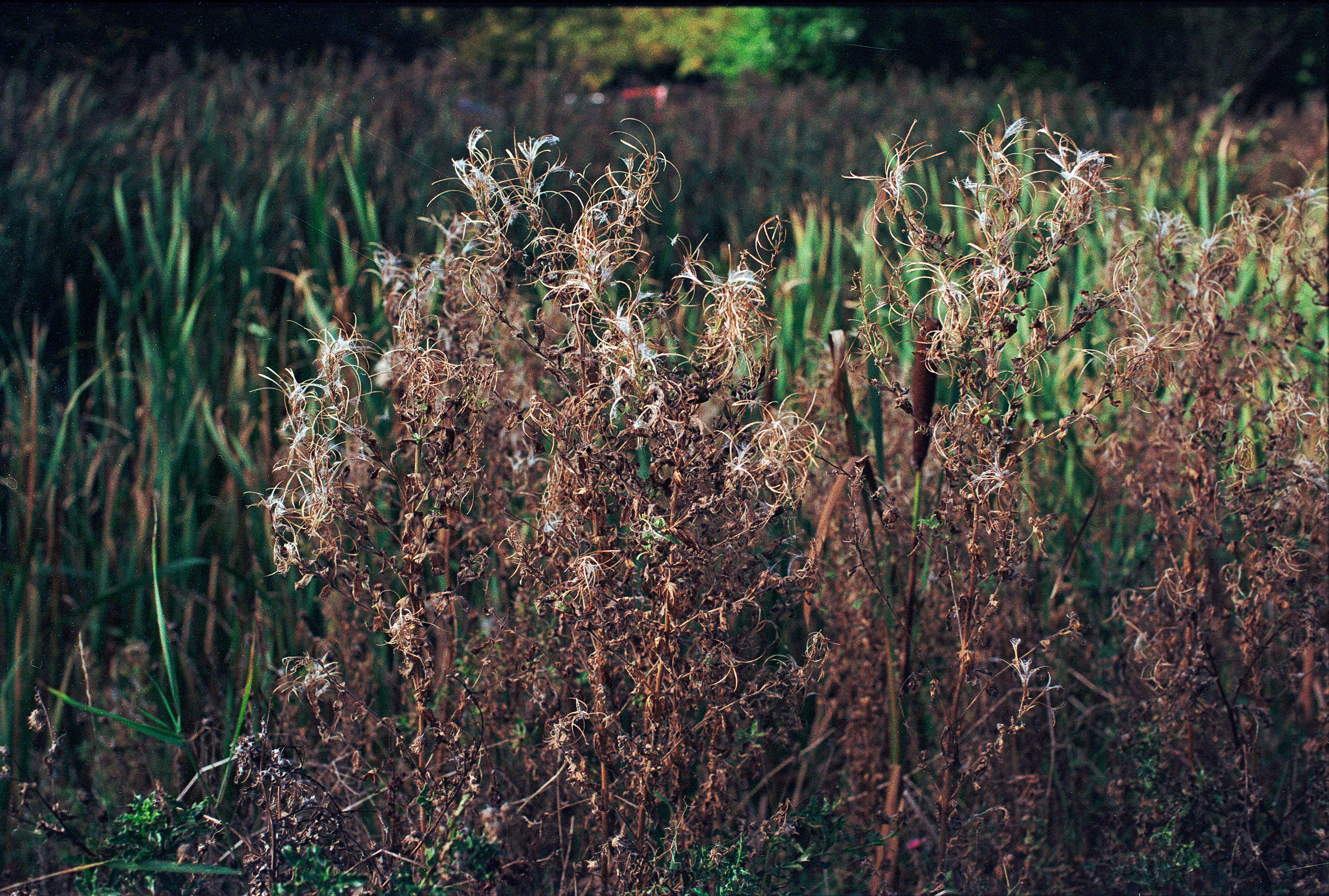 Photo by tanyabarrow