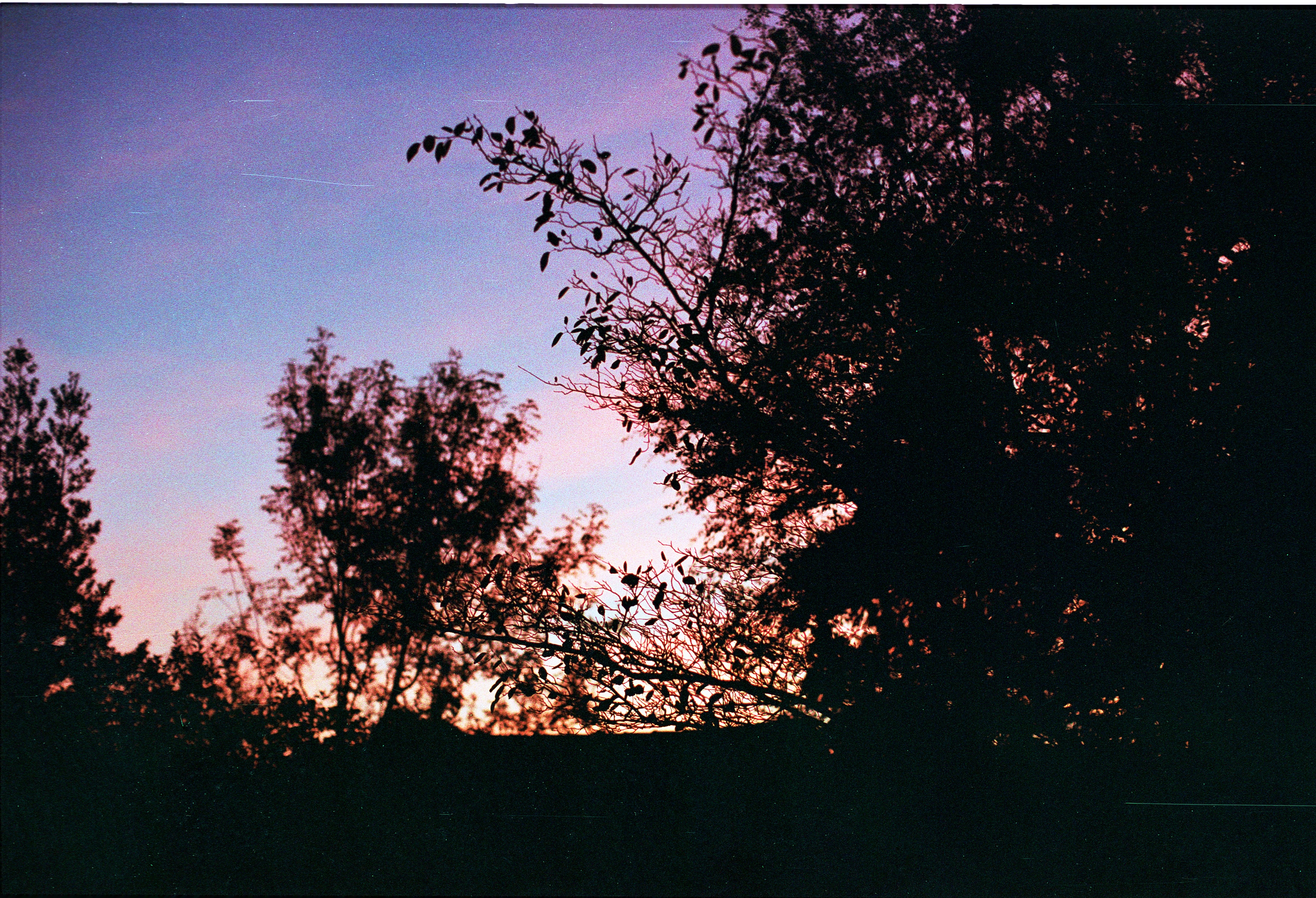 Photo by tanyabarrow