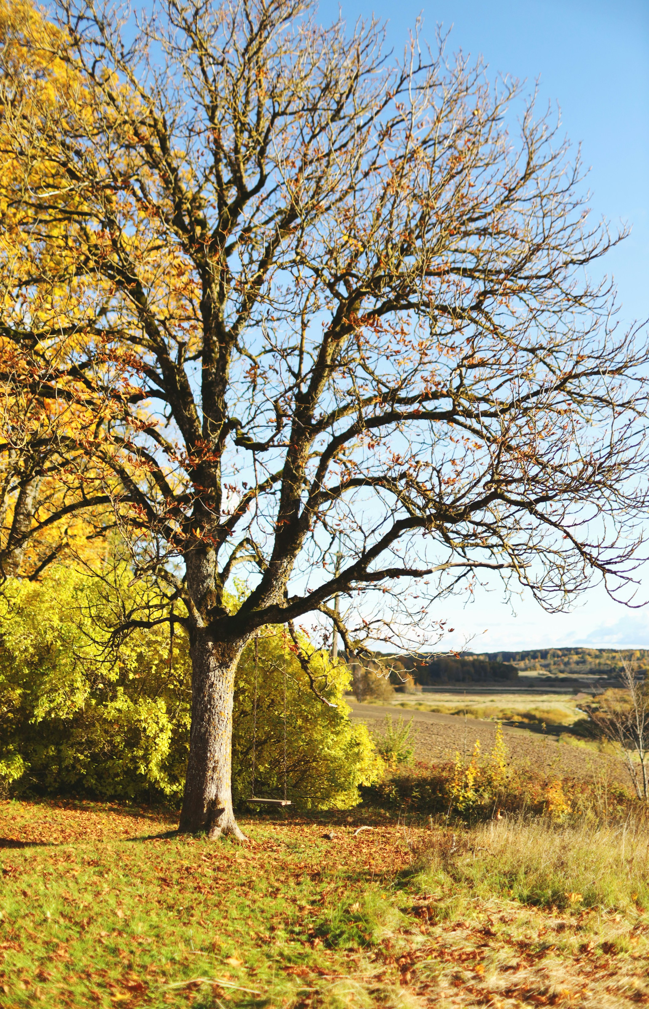 Photo by naurisranga