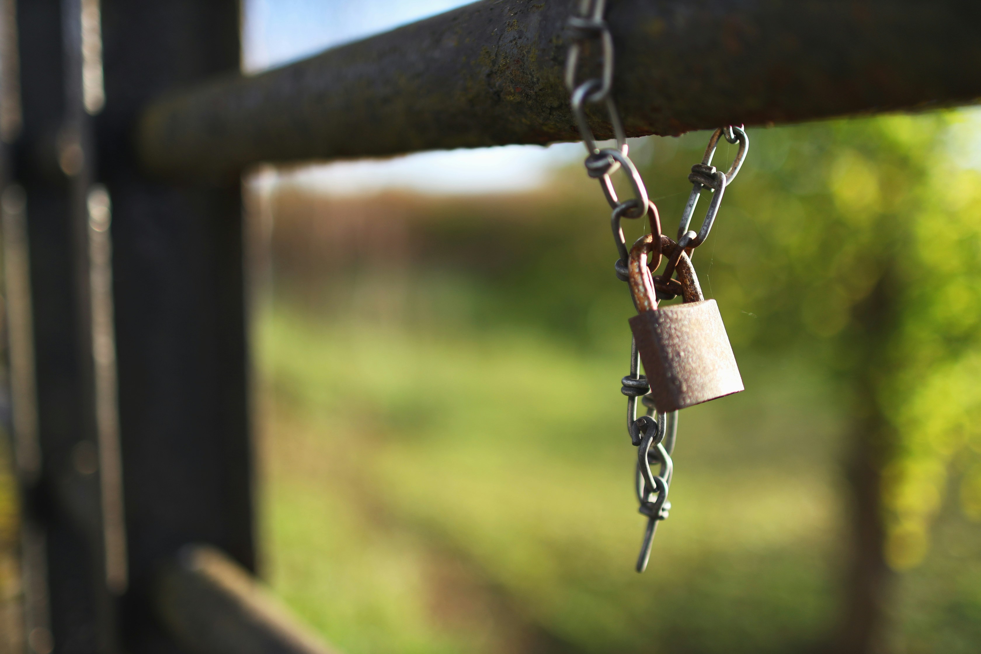 Padlock securing gate