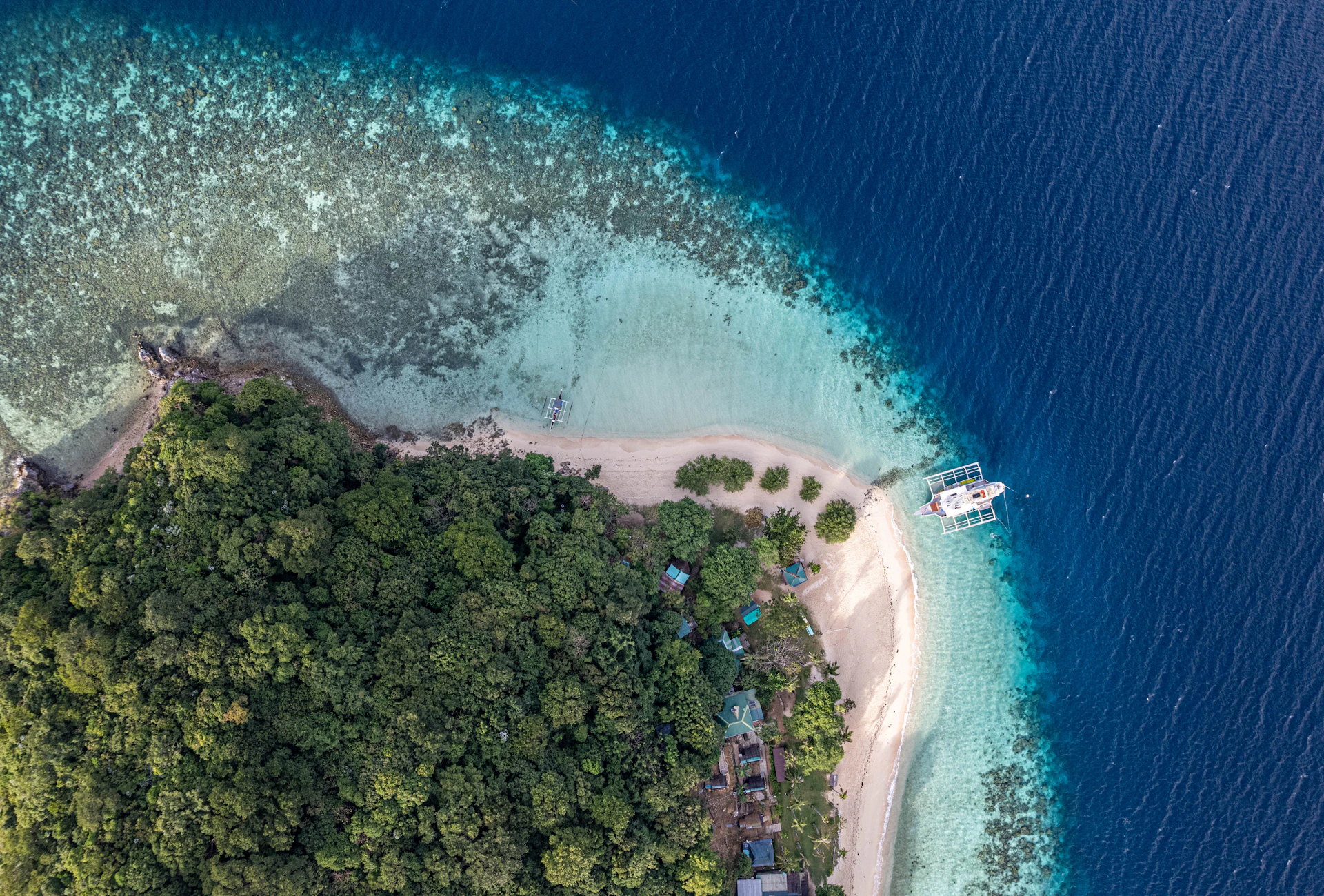Aerial view of tropical island coastline with lush green forest.