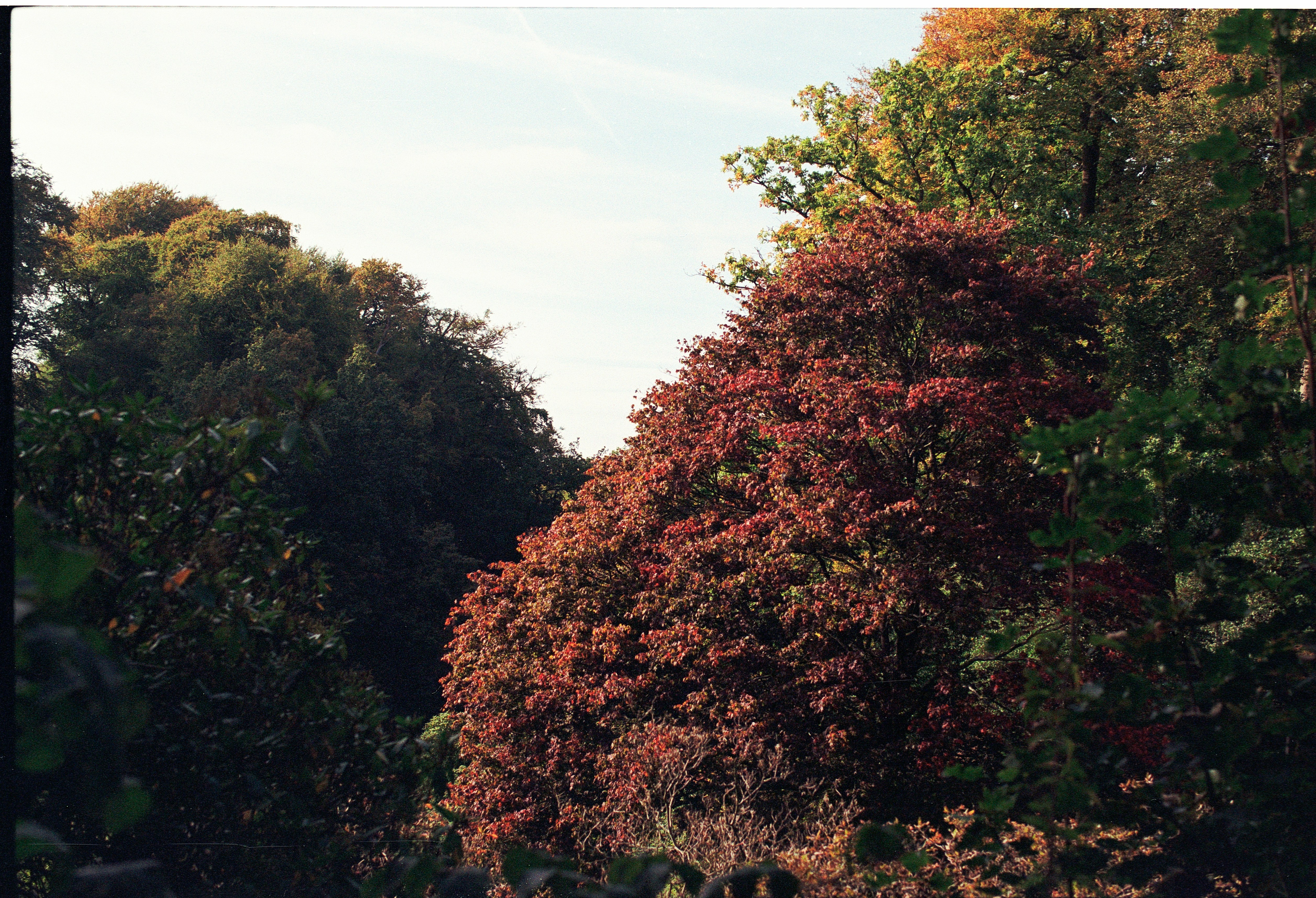 Photo by tanyabarrow