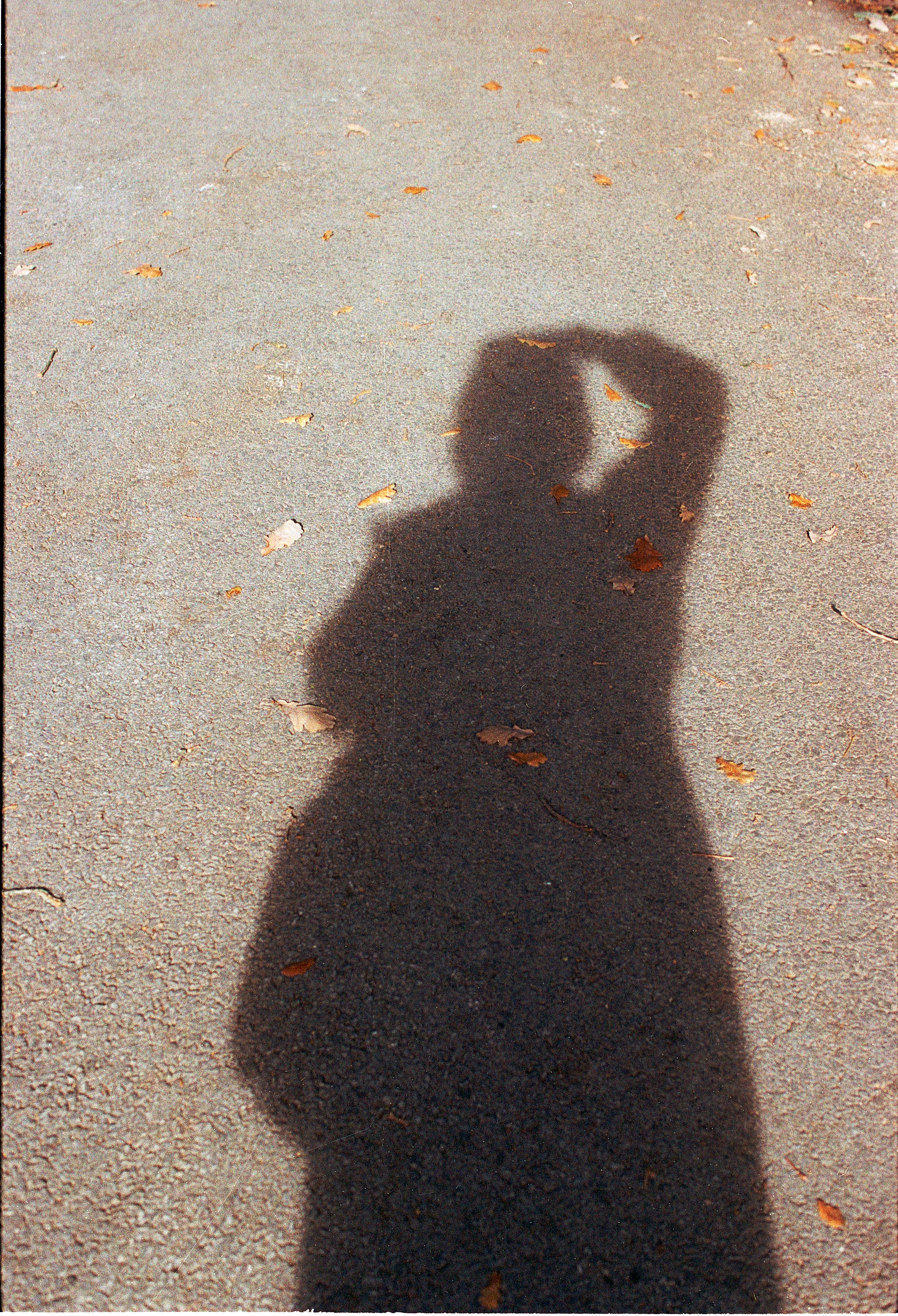 Shadow of a person on a paved path