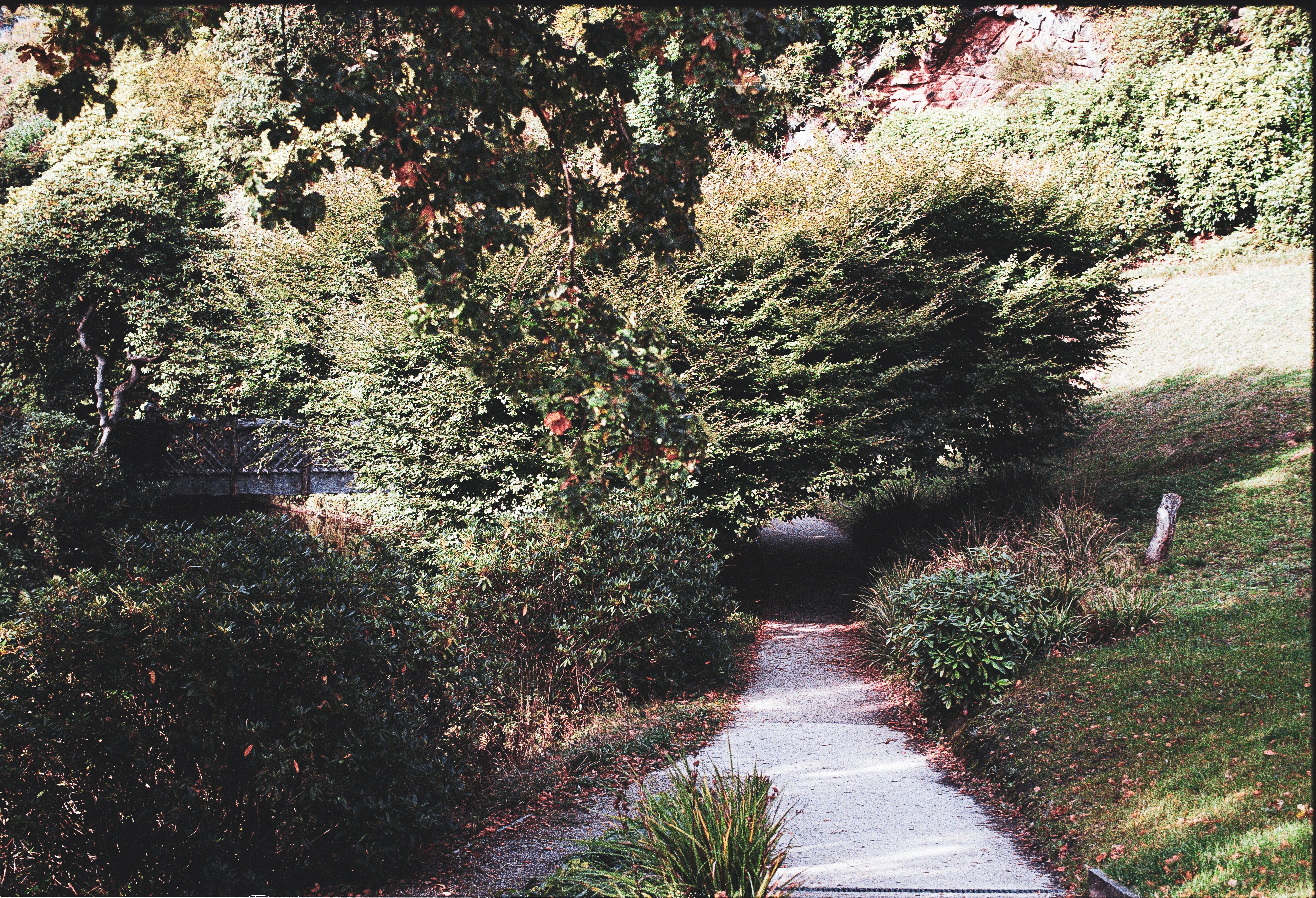 Photo by tanyabarrow