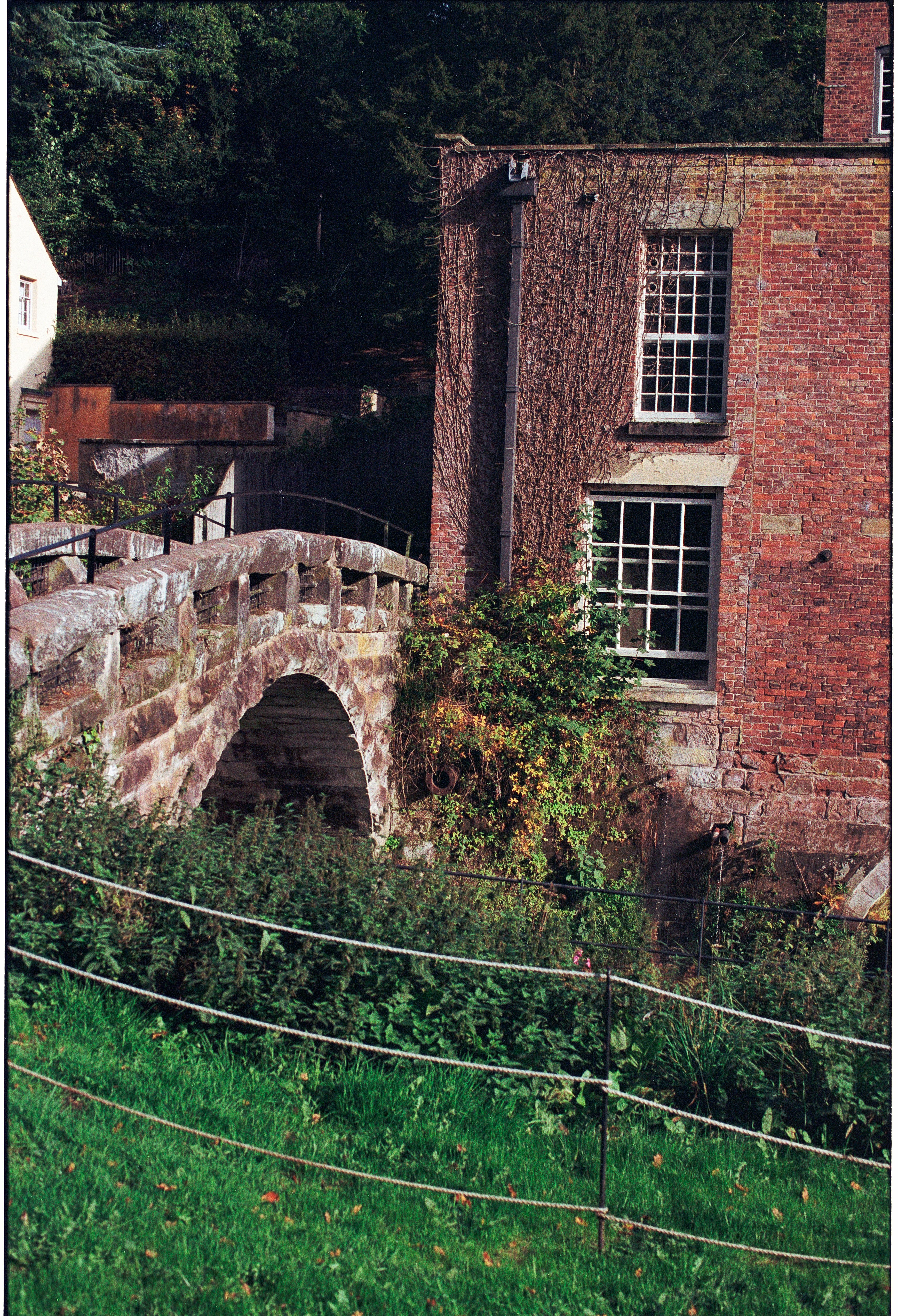 Photo by tanyabarrow