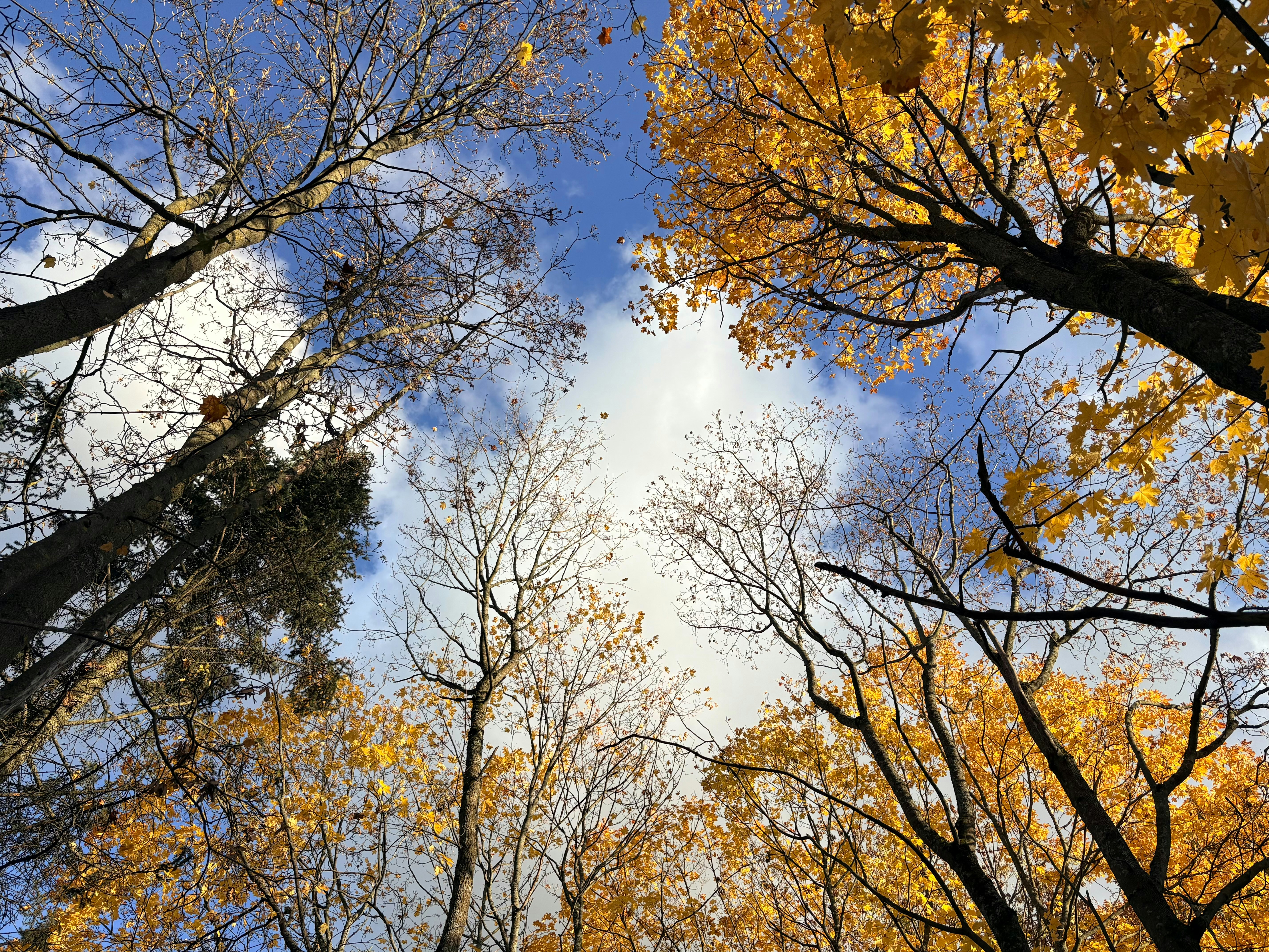 Photo by tashakostyuk