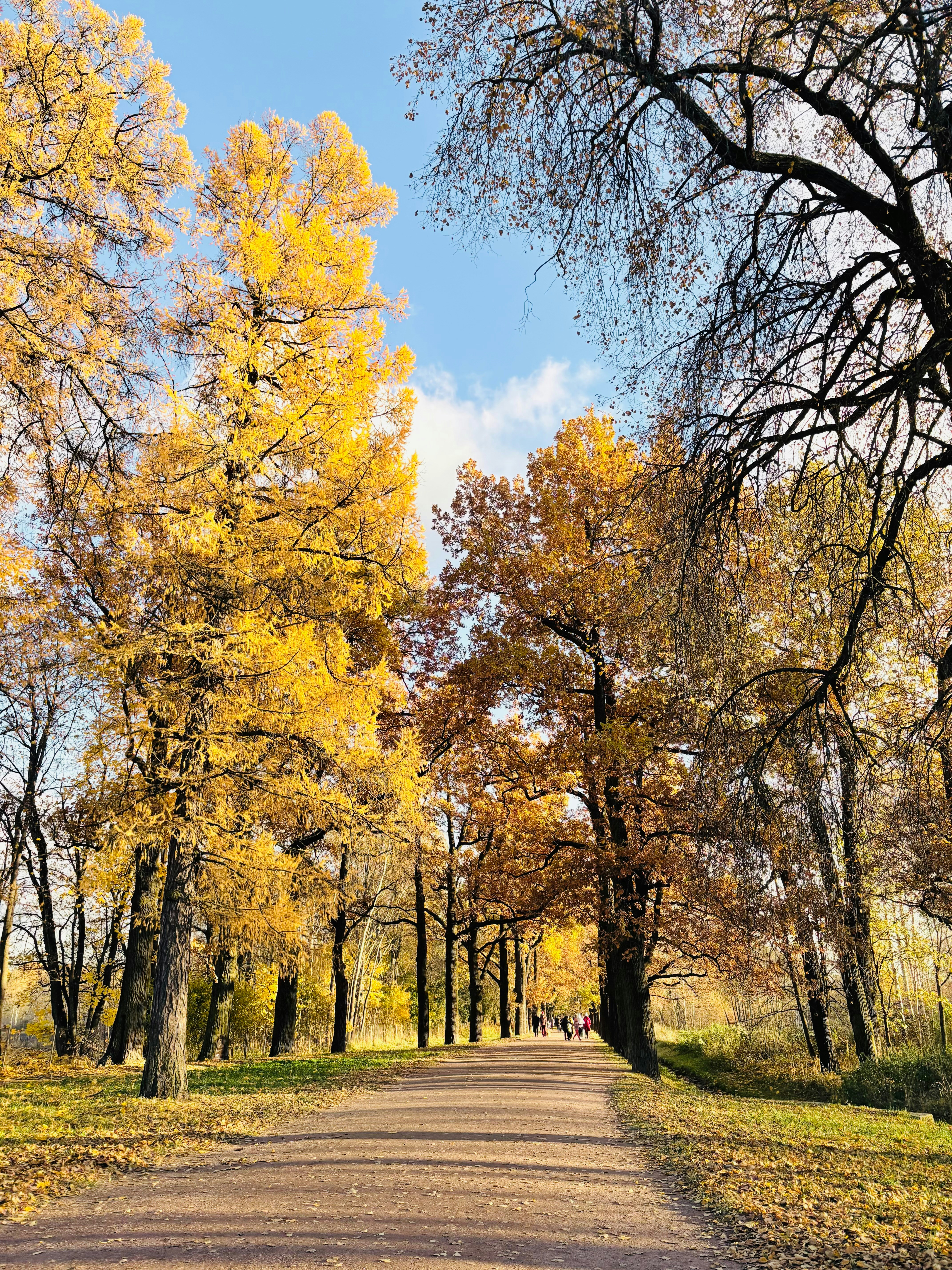 Photo by tashakostyuk