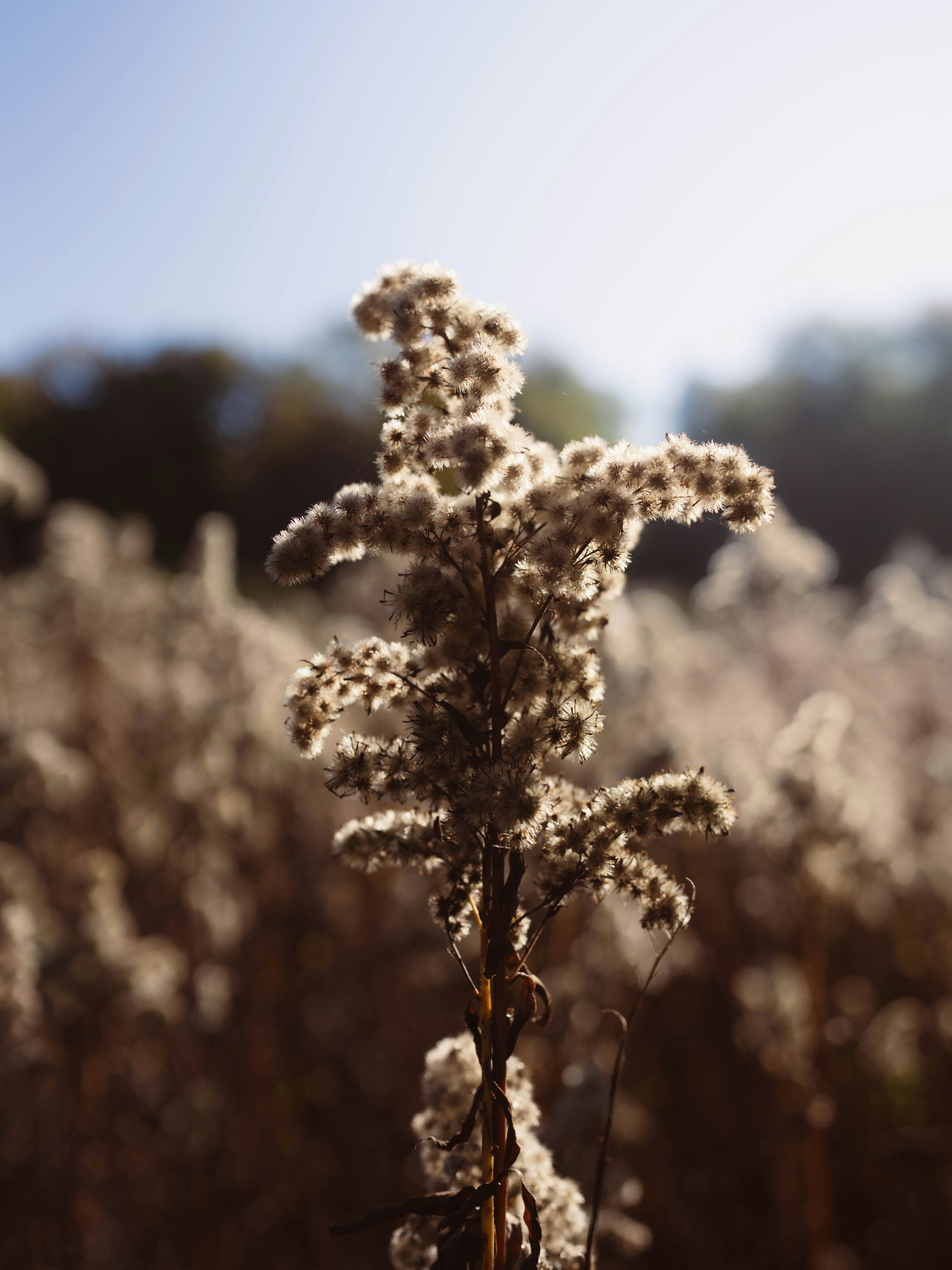 Photo by omikron