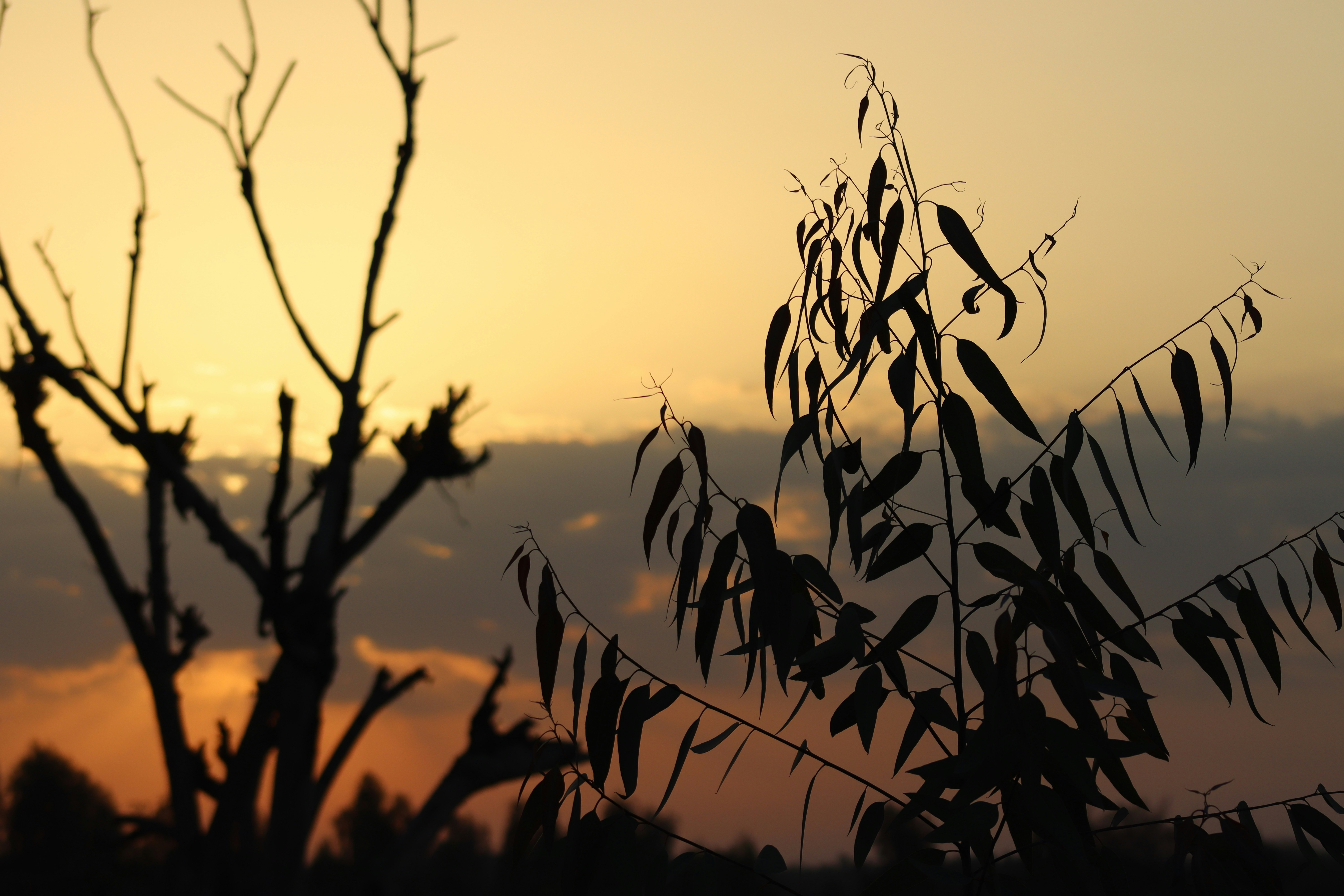 Photo by drphotographer152