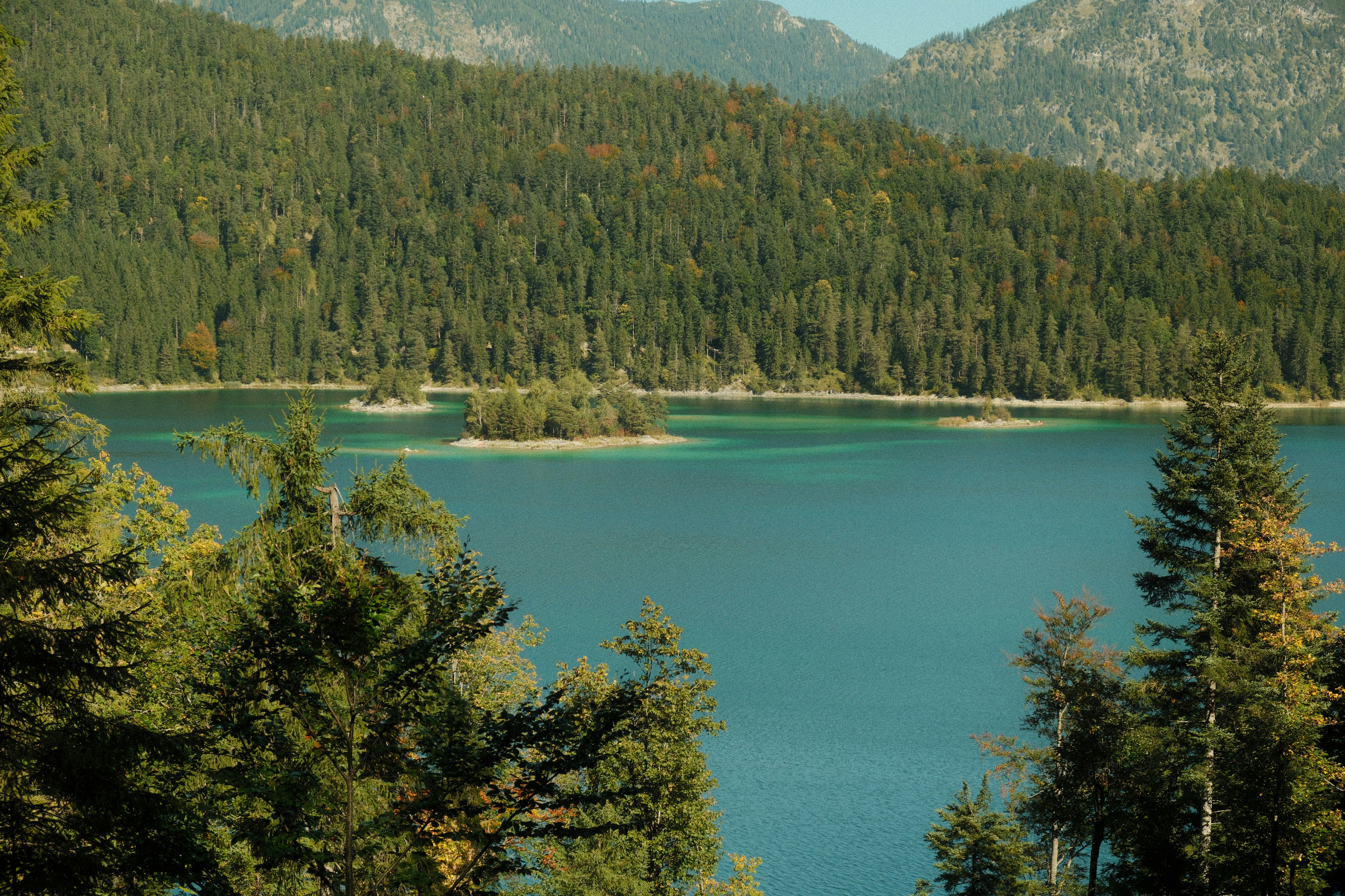Turquoise lake surrounded by dense green forest