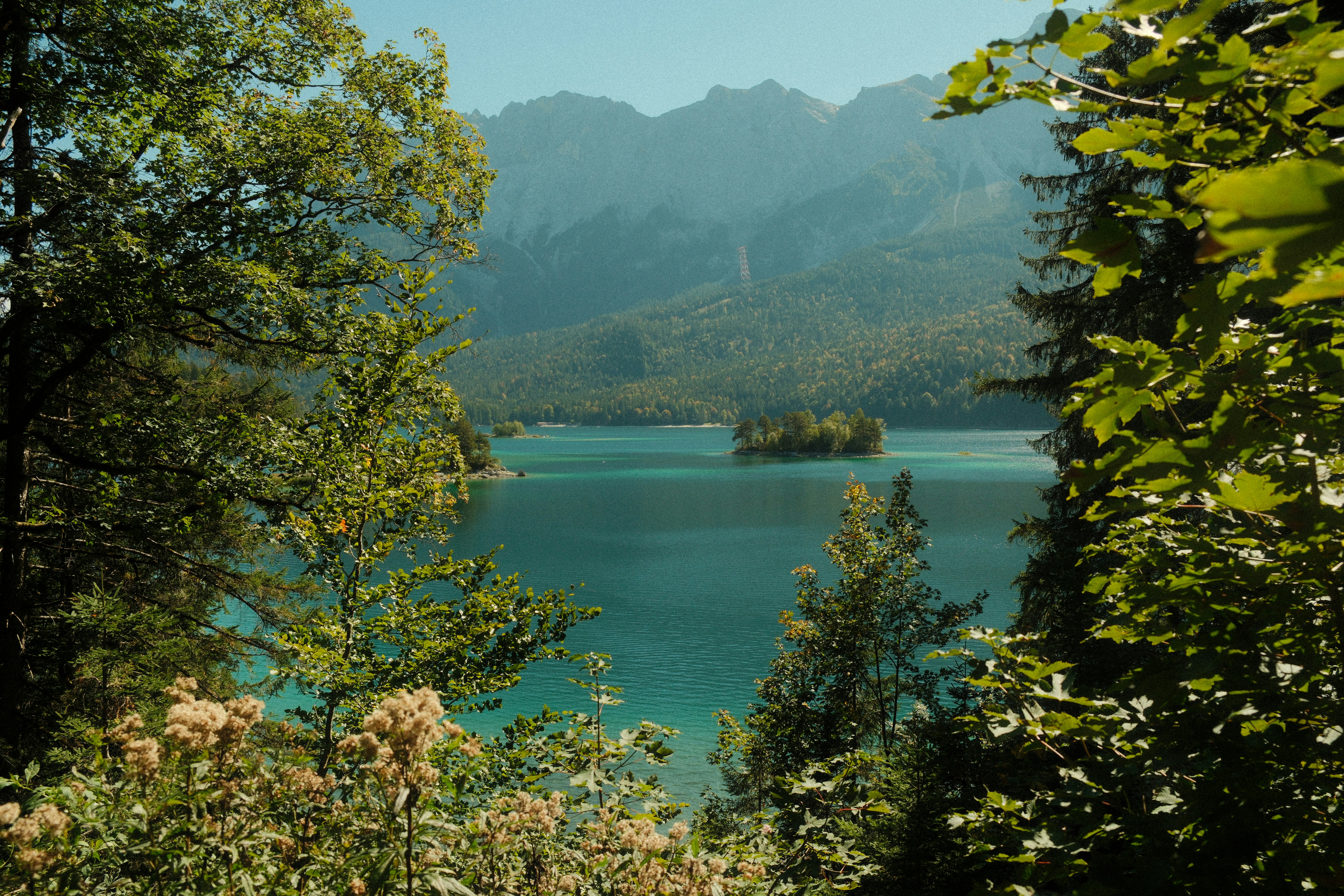 Trees frame a beautiful blue lake with mountains.