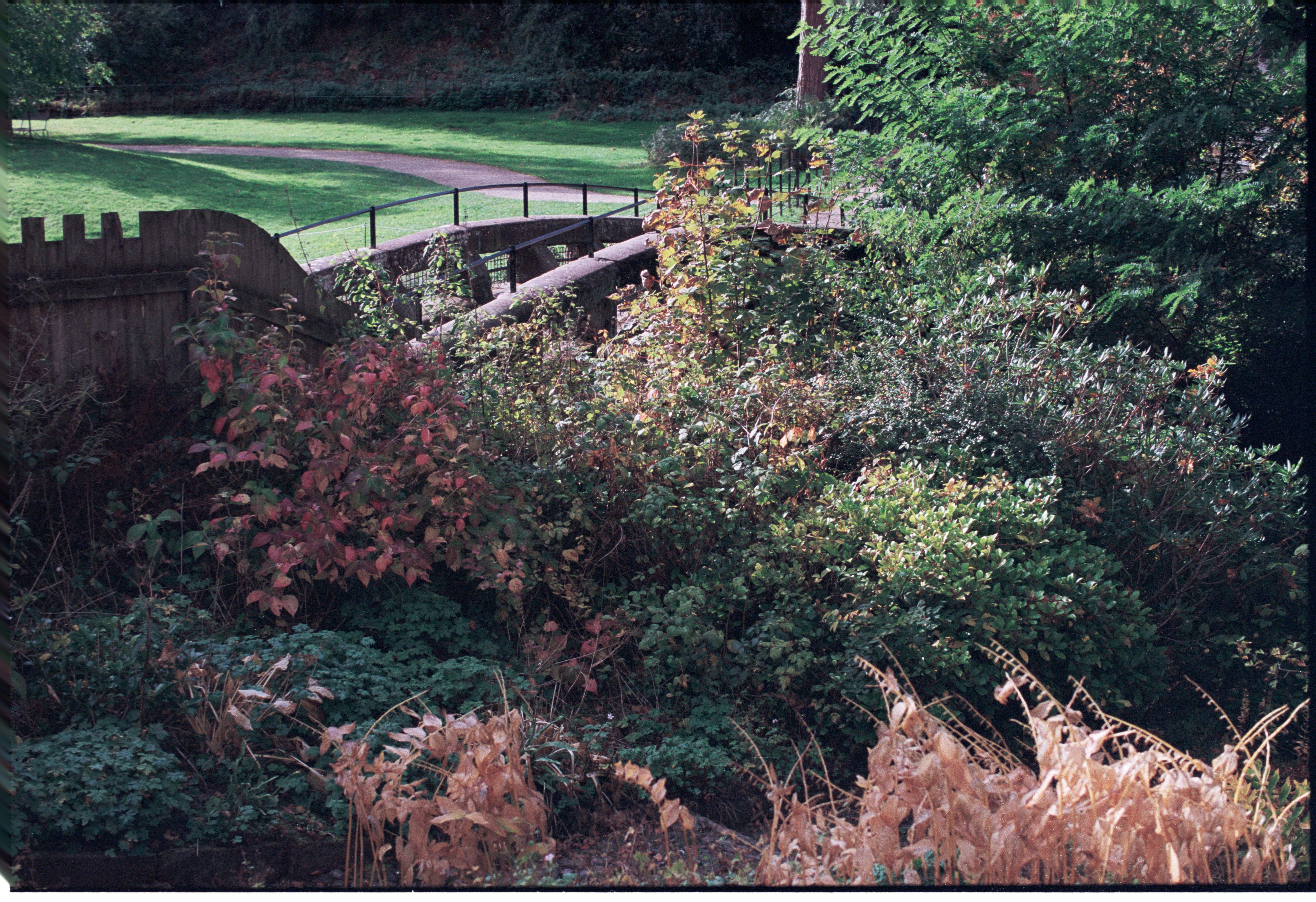 Photo by tanyabarrow