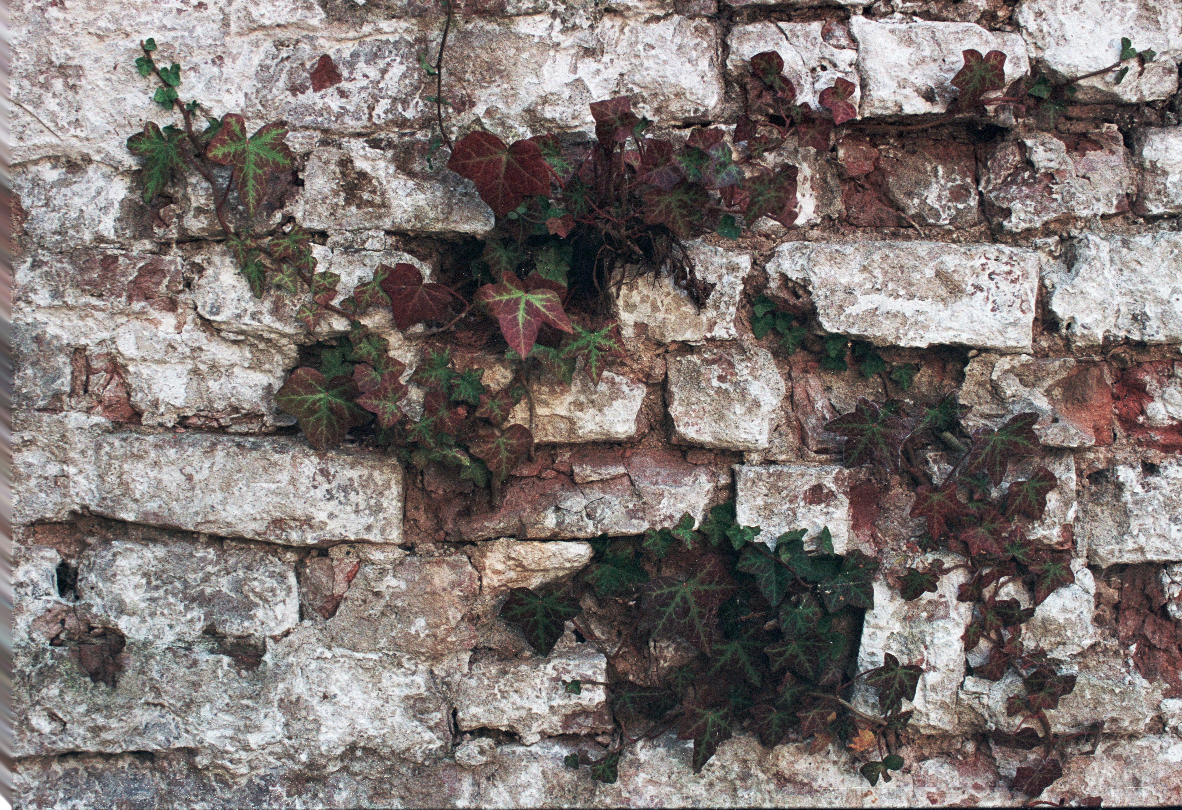 Photo by tanyabarrow