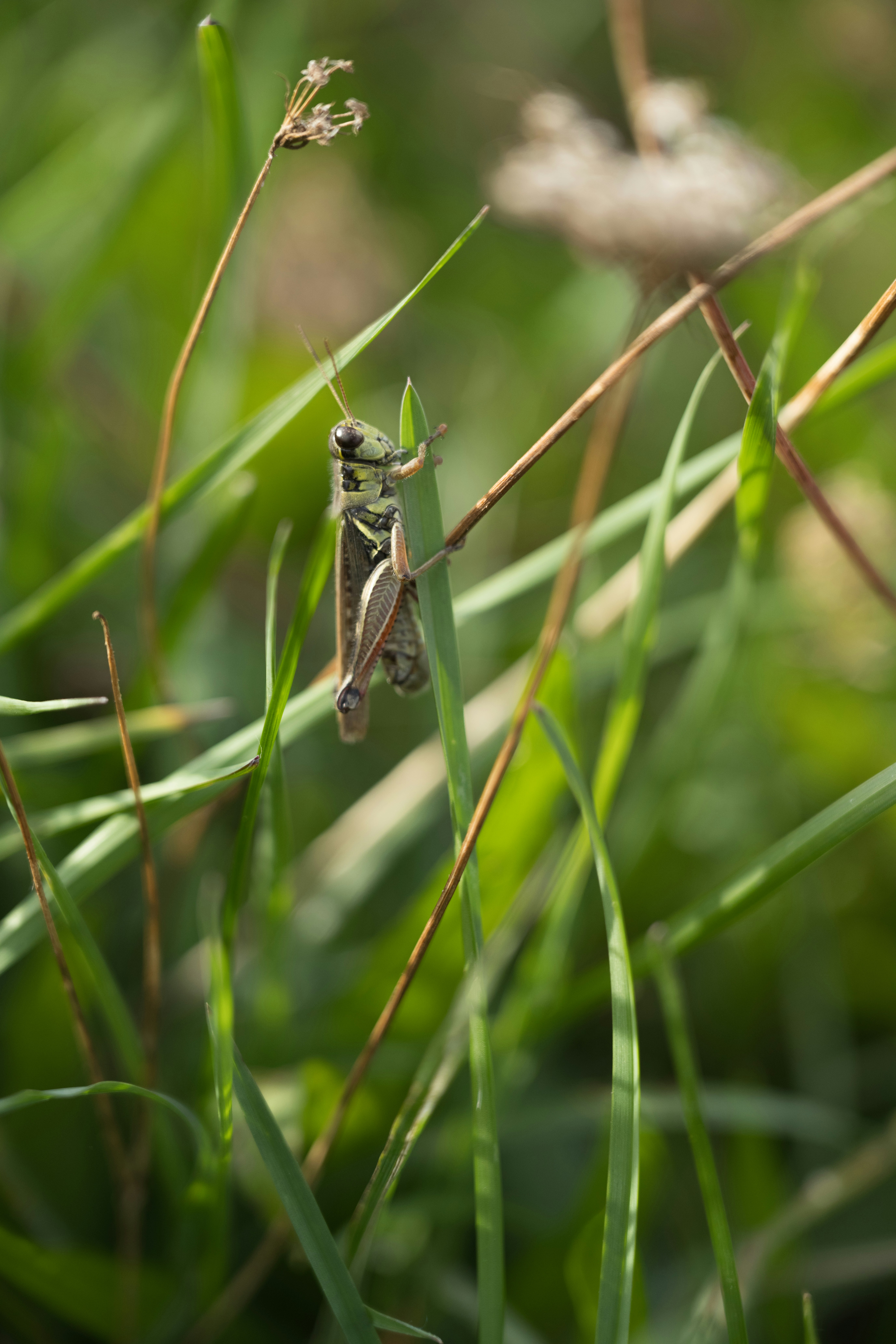 Photo by justynazielinska654