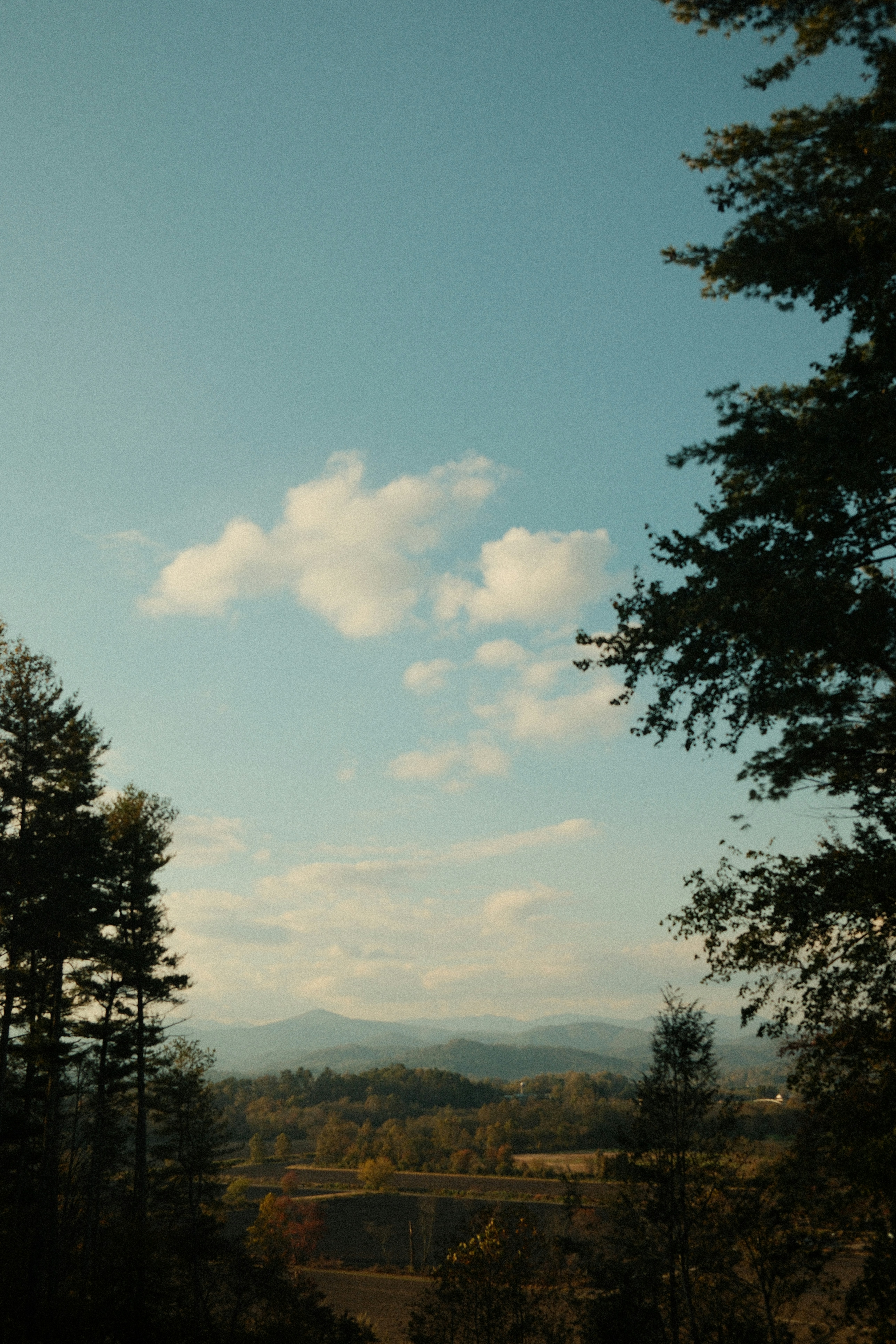 Rolling hills and trees under a cloudy sky
