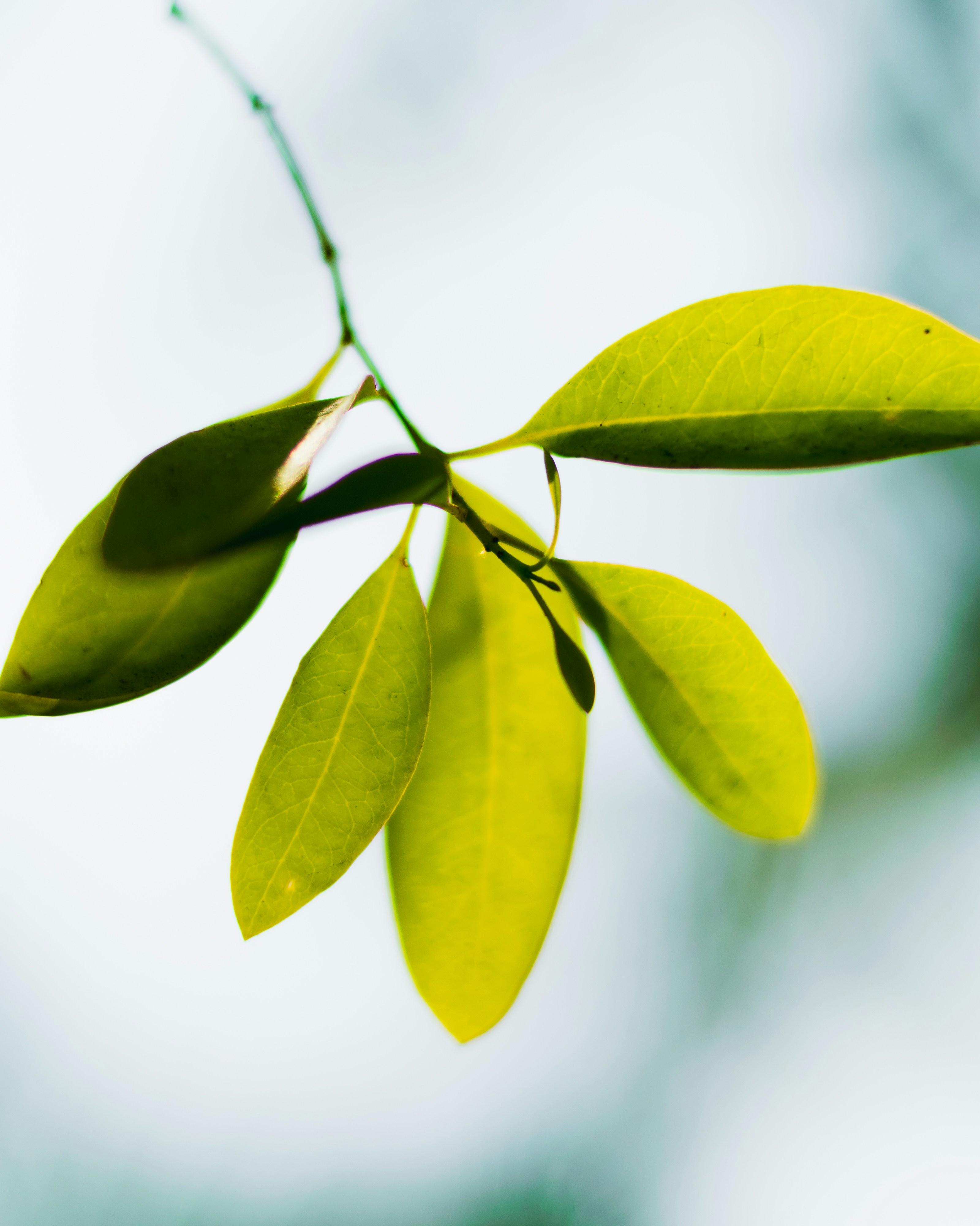 Photo by freeze_zone