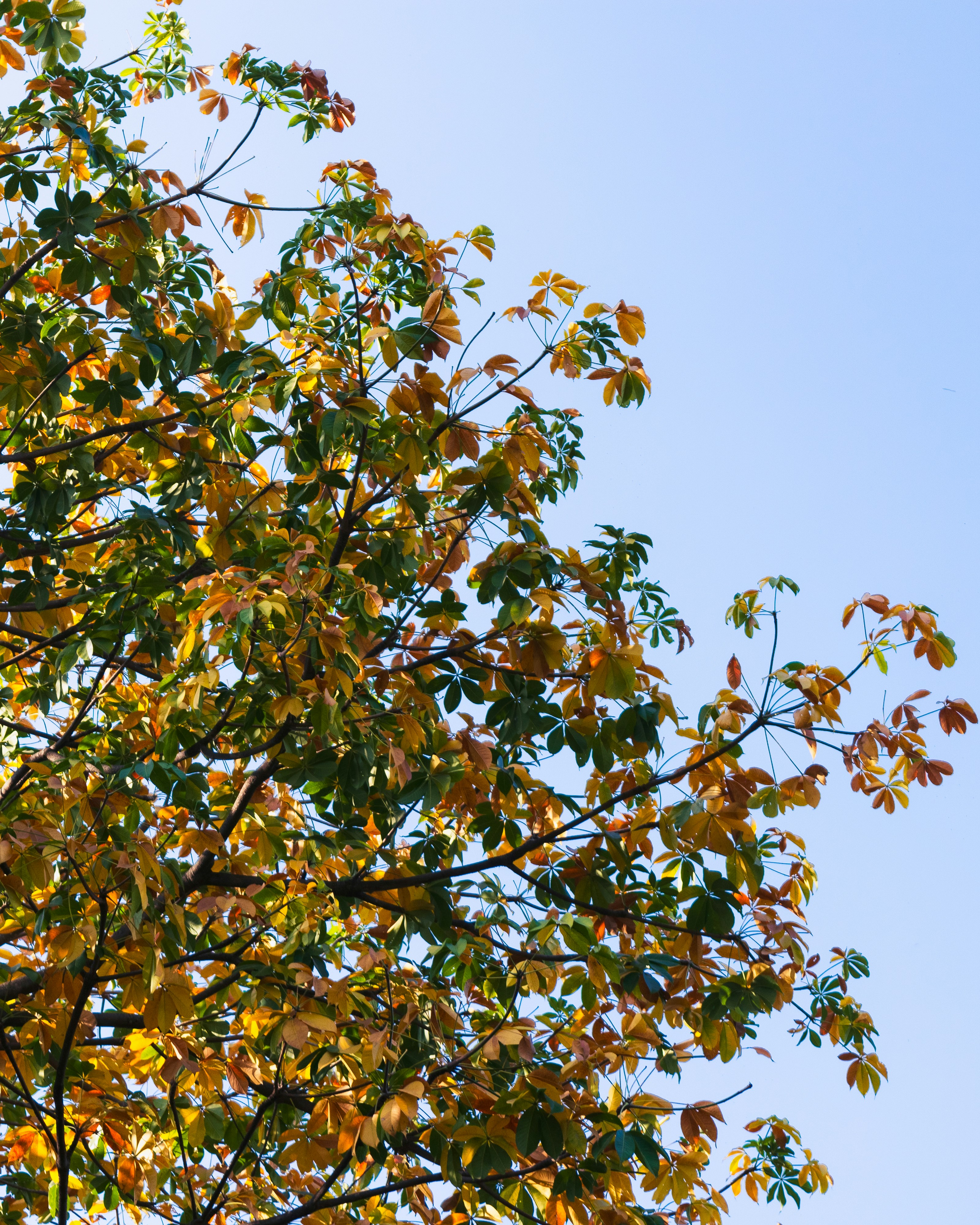 Photo by freeze_zone