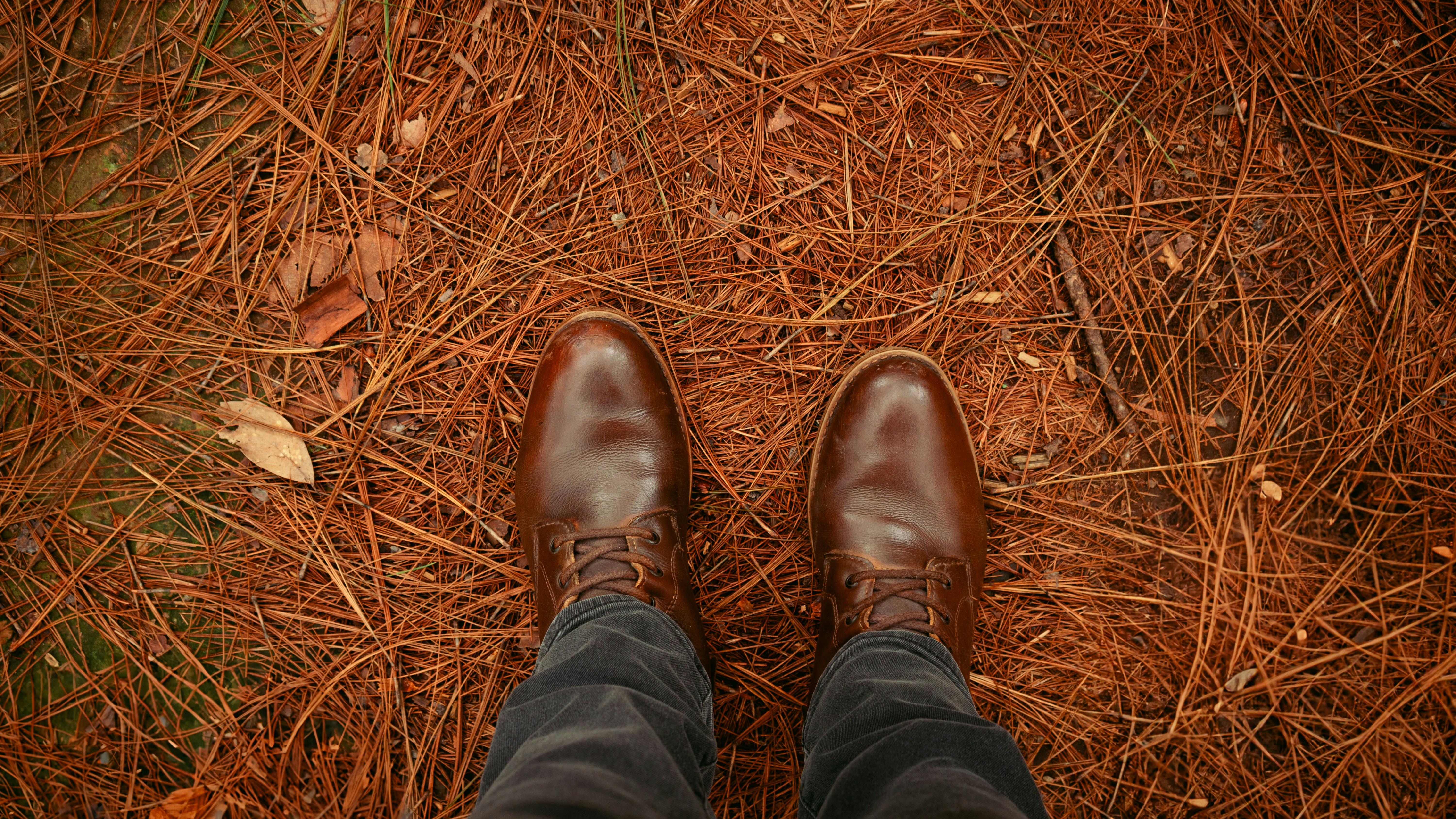 Brown leather boots standing on pine needles