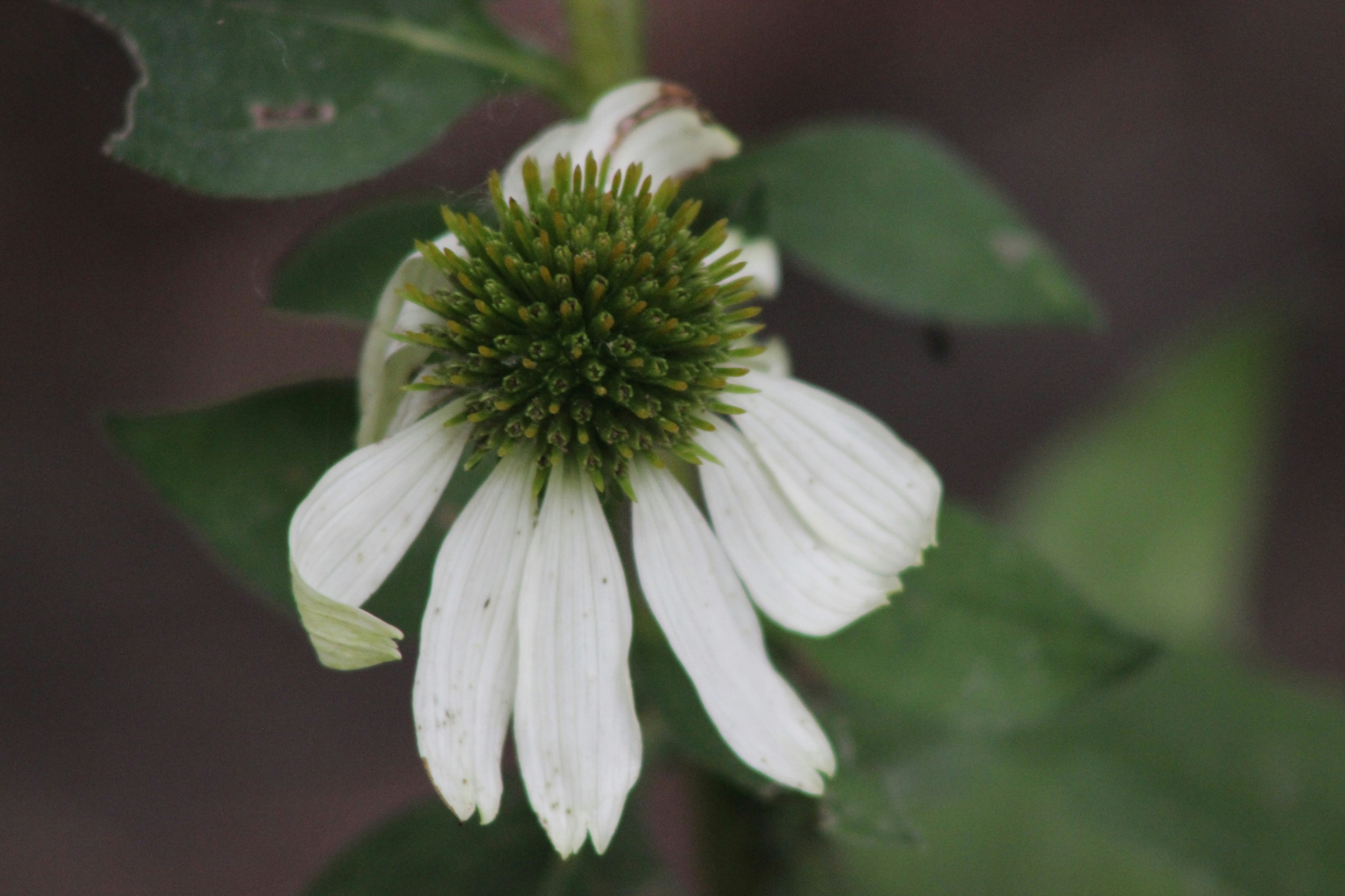 Photo by viewsofthecamera