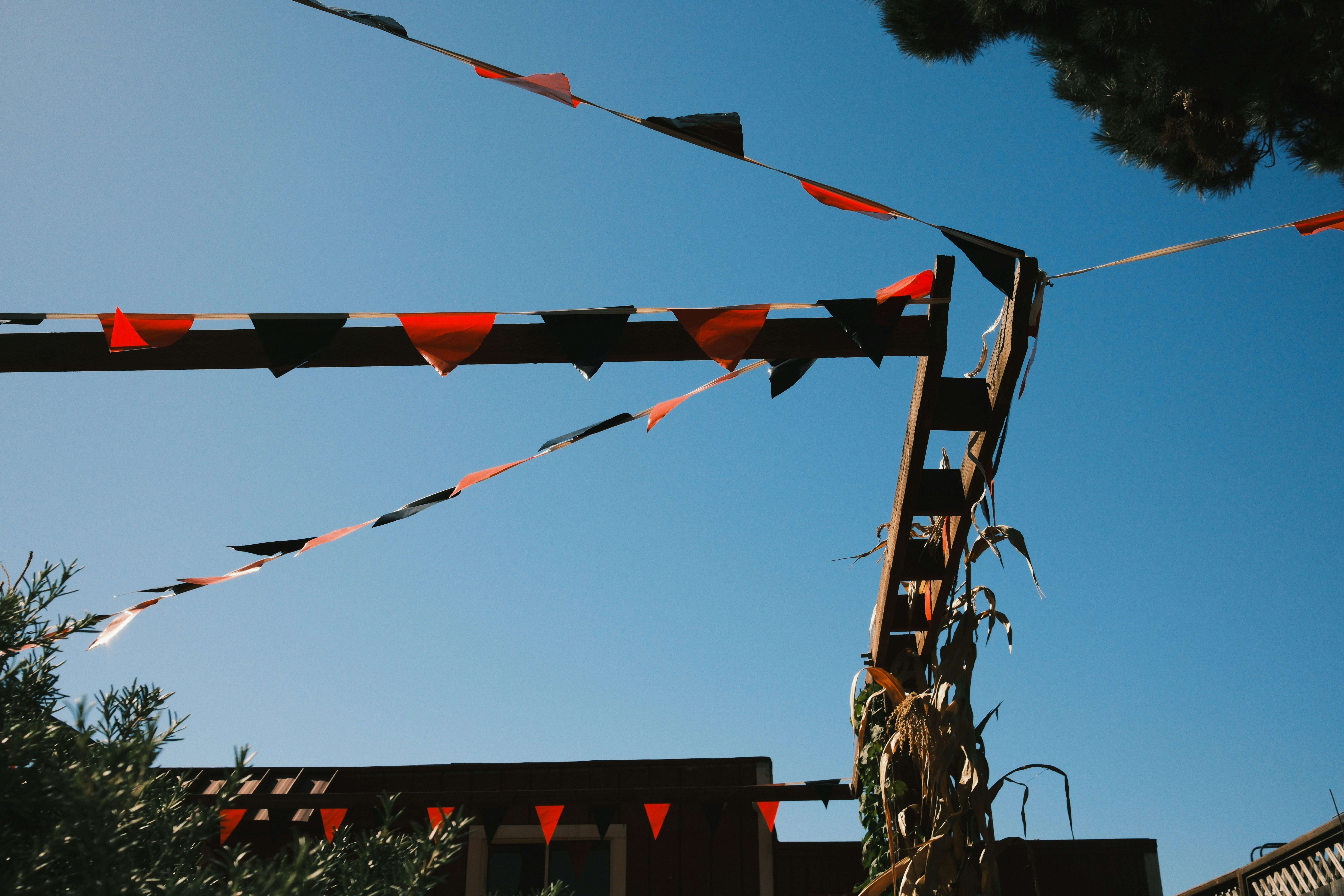 Photo by kalaniparker