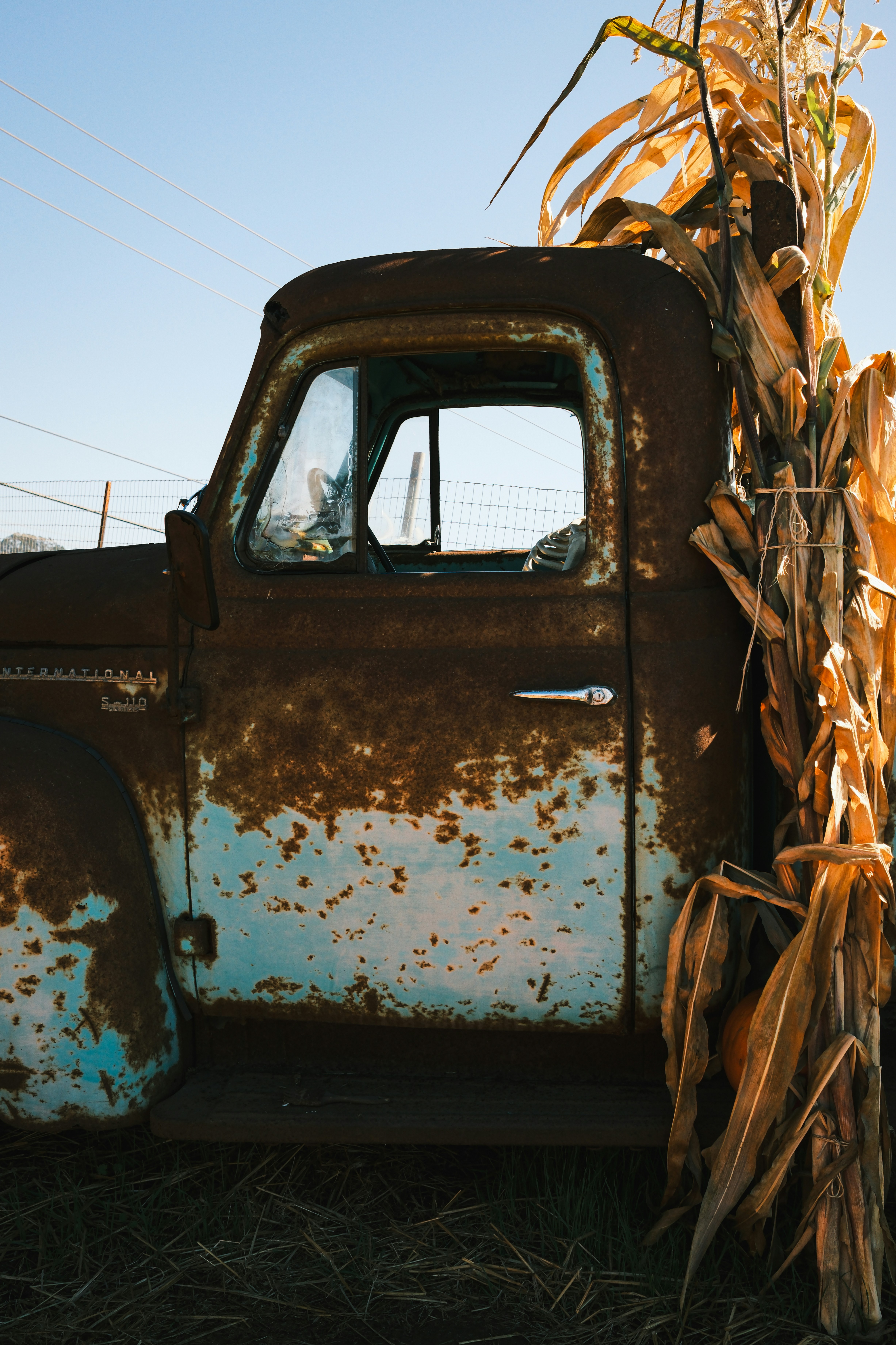 Photo by kalaniparker