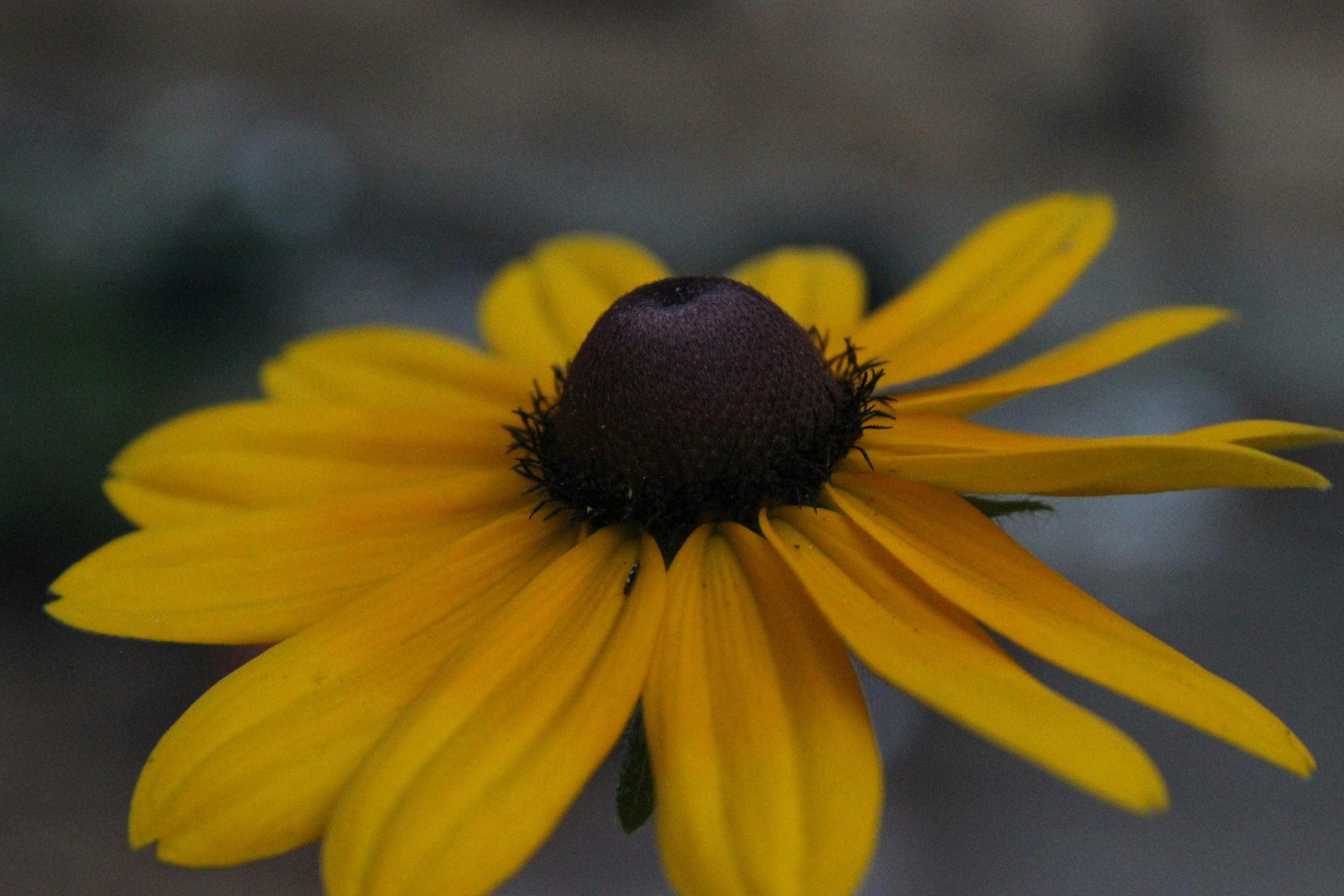 Photo by viewsofthecamera