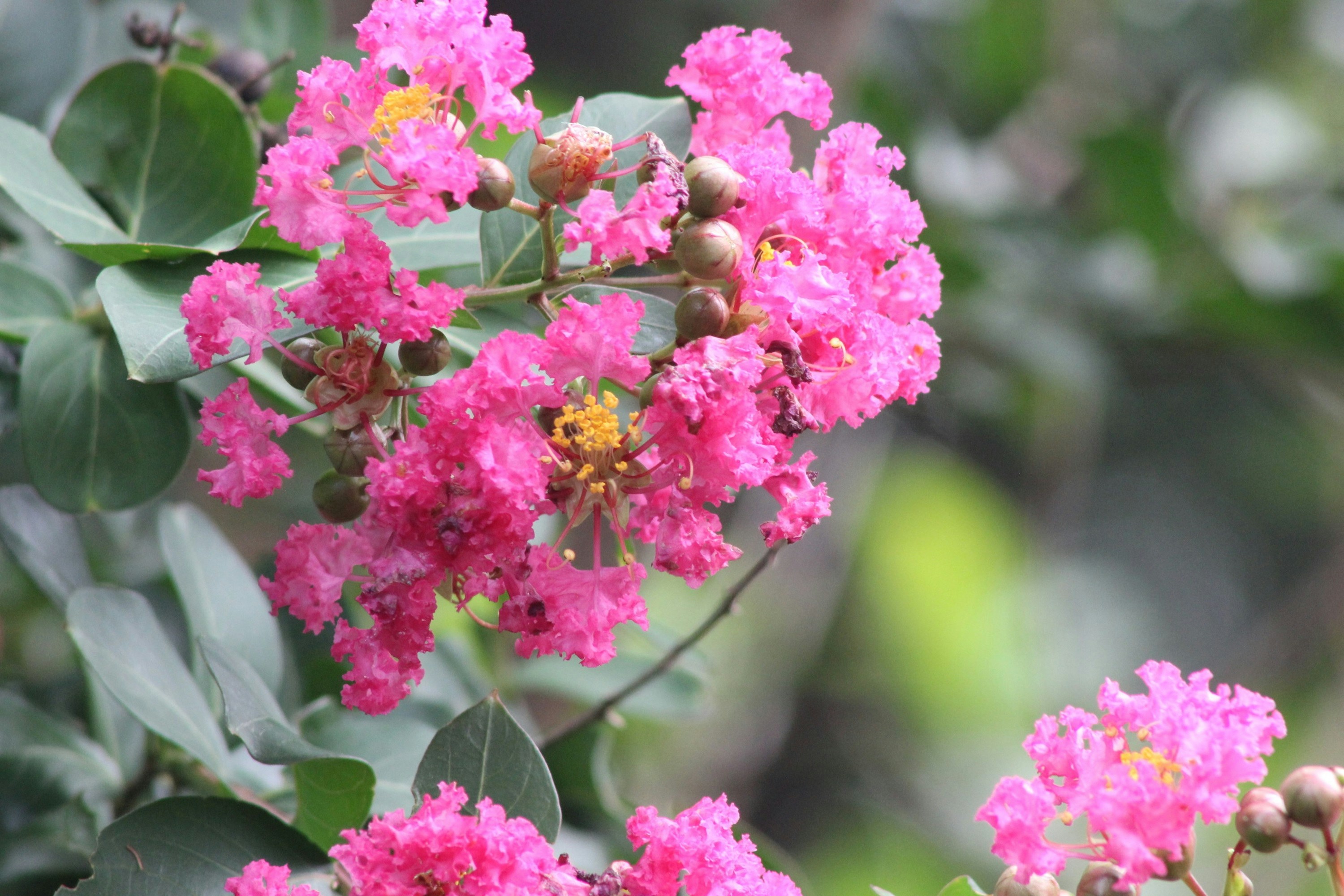 Photo by viewsofthecamera