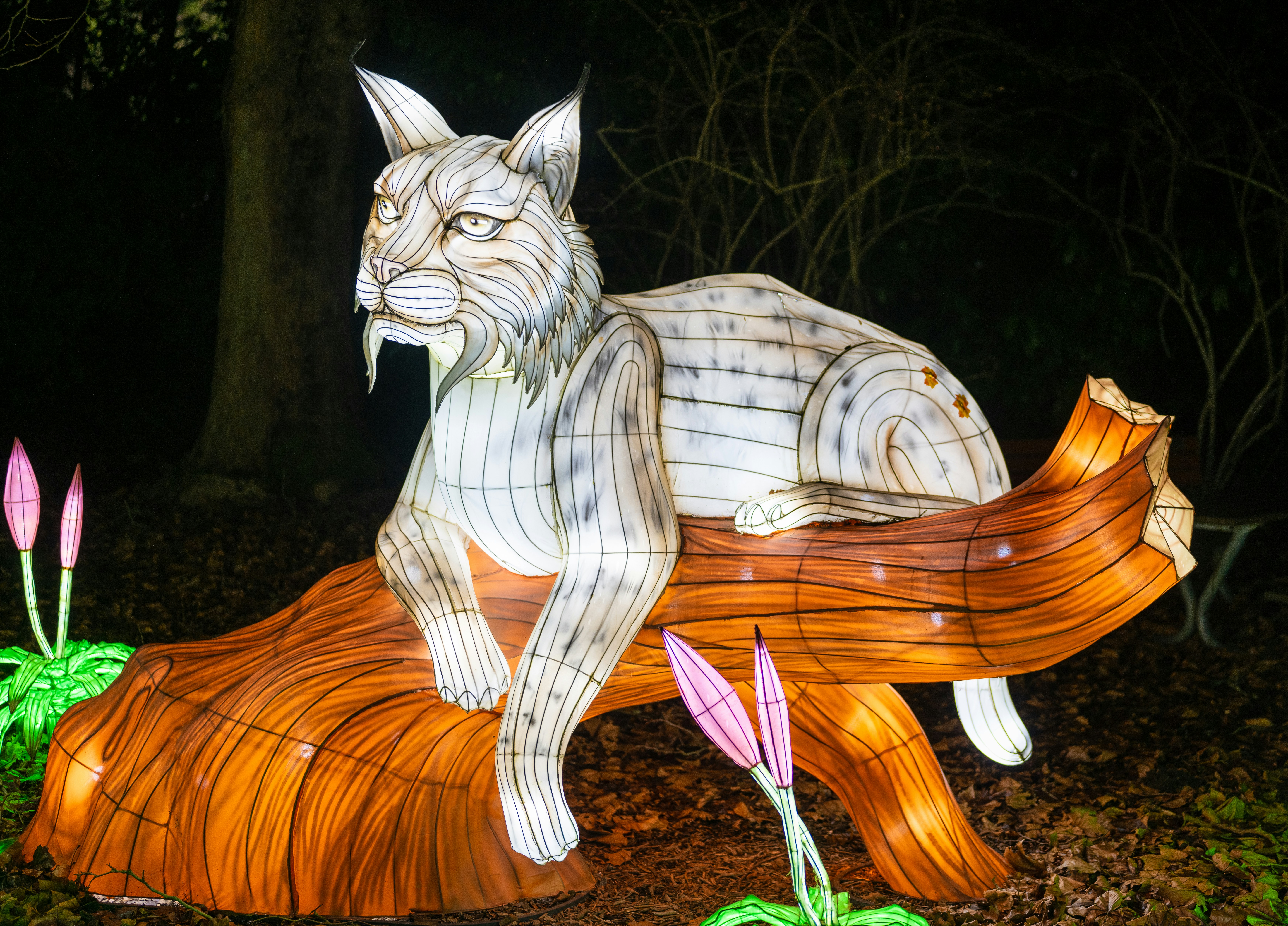 A glowing lynx lantern rests on a log.