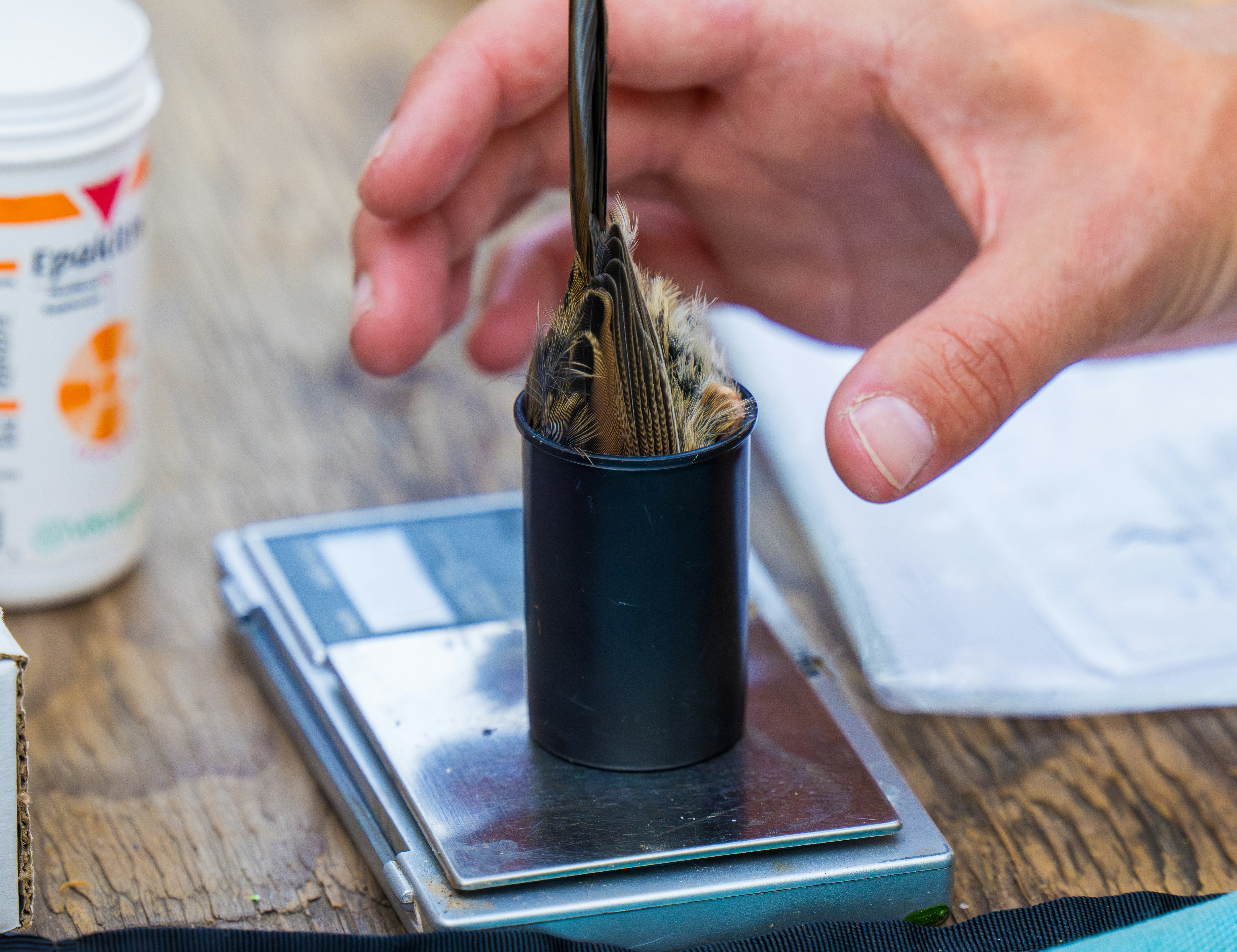 Why Slow Travel Mindsets Improve Field Data Collection: A Guide for Research Teams