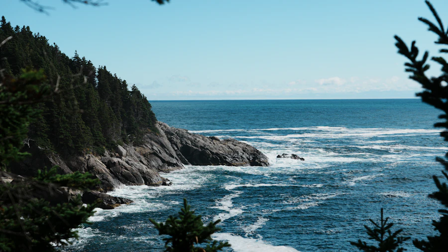 Evergreen headland meeting deep blue Pacific Northwest surf