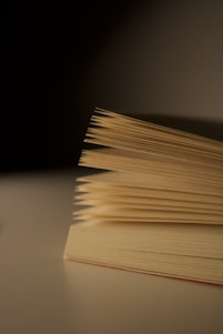 Close-up of an open book with thin pages.